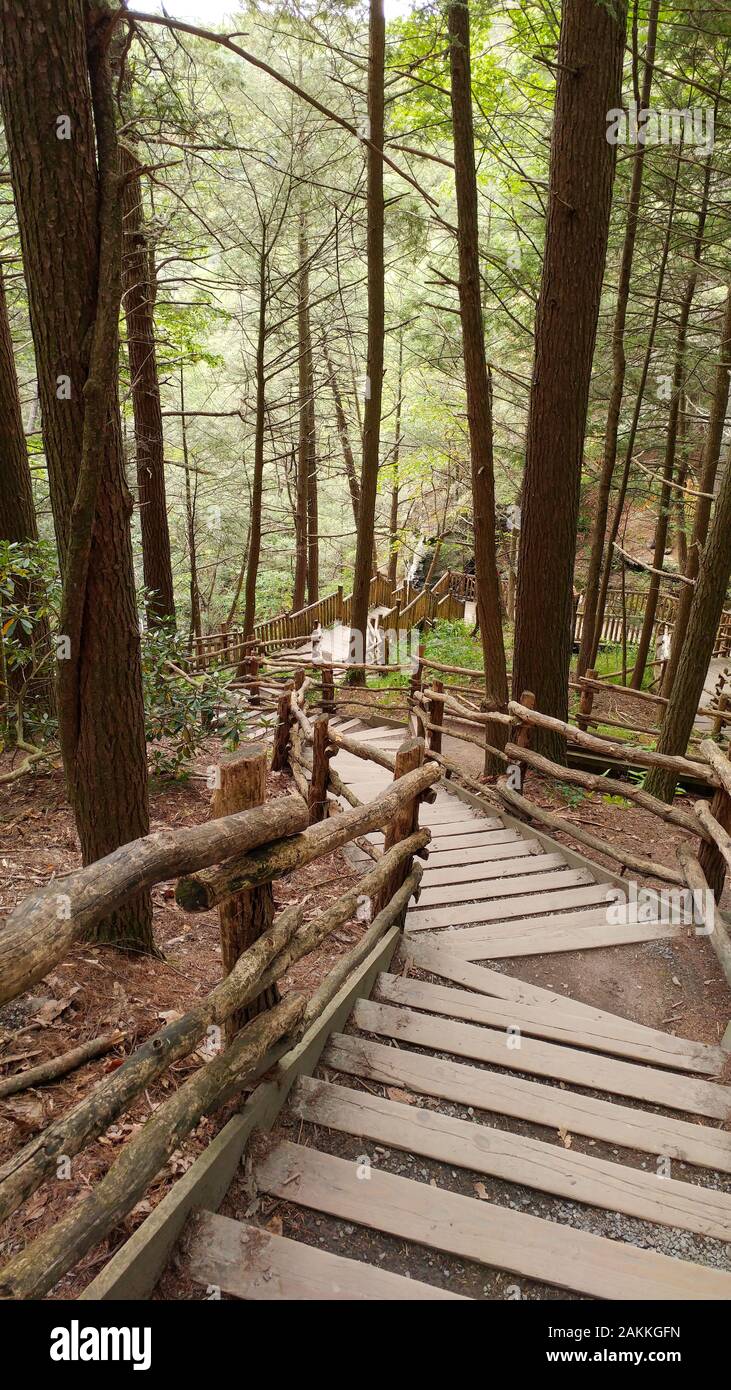 Bushkill Falls Stockfoto