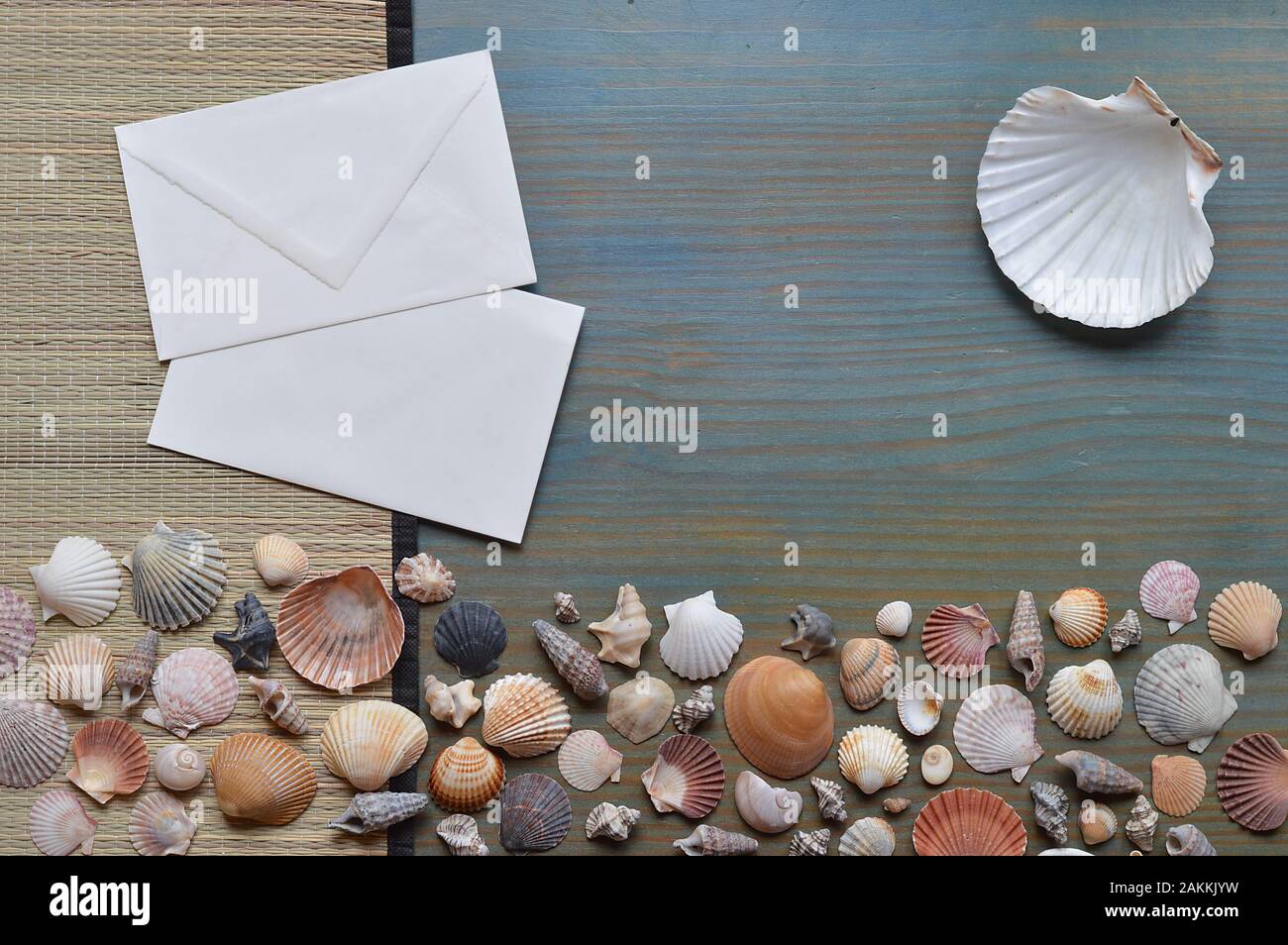 Vielzahl von Muscheln auf der cyanfarbenen Holzbrett mit einem leeren Brief Stockfoto
