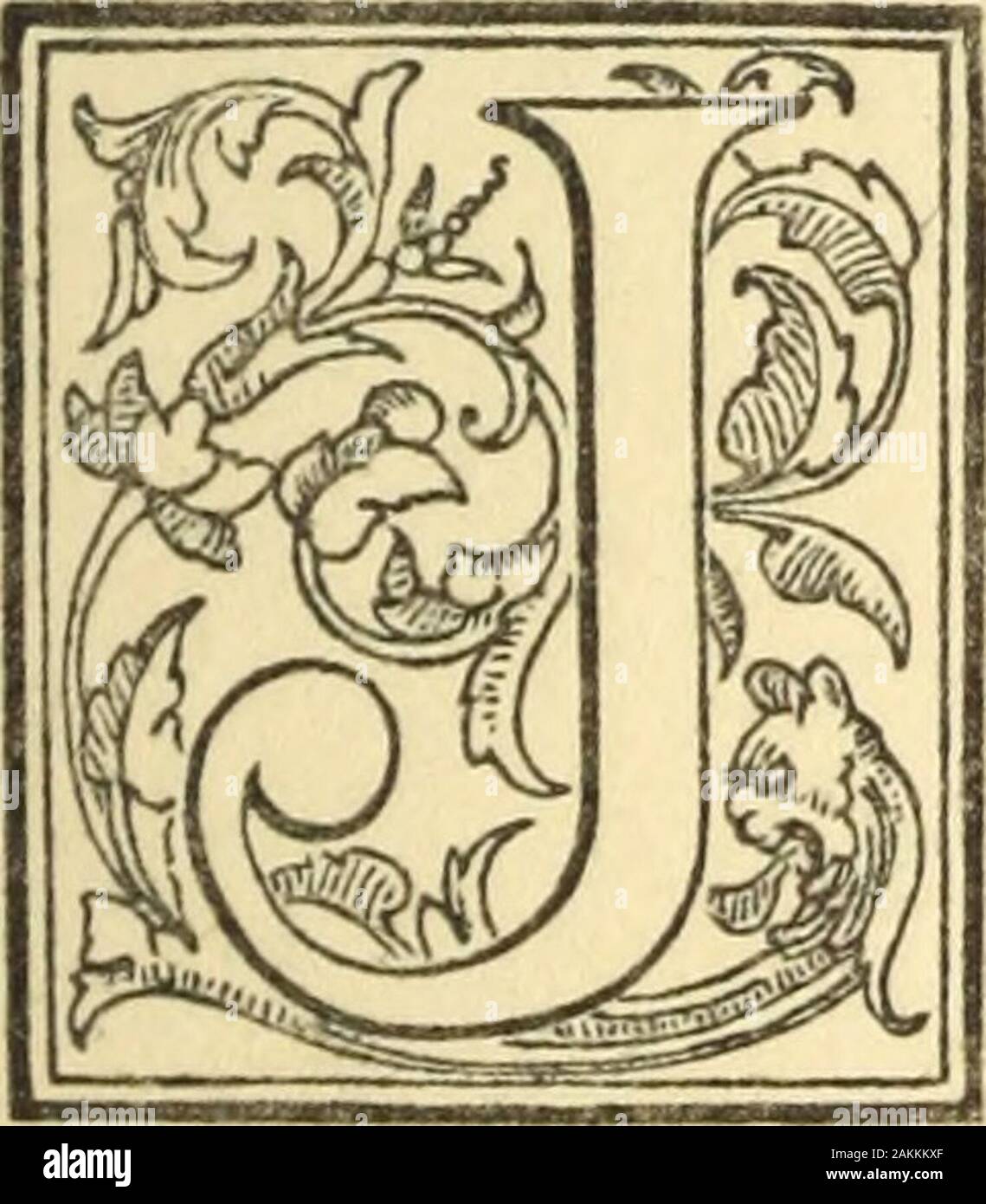 Die Anglikanische Kanzel Bibliothek, [Predigten, Skizzen und Illustrationen für den Sonn- und Feiertagen]. Saviorwould drücken Sie seine Bitte nicht, aber lassen Sie uns, zumindest eine Zeit lang. Wouldit", oder &Lt;Ab 1? J. B. C. MURPHY. IV skizziert auf der LESSONSThe Provinz Gefühl in der religiösen Erfahrung. O daß ich wäre wie in den vorigen Monden, in den Tagen, da mich Gott behütete. Job xxix. 2, 3. OB war in der Tat schrecklich leiden. Er hatte allhis Eigenschaft verloren, und aller seiner Kinder beraubt worden; seine Frau hatte ihn zu verfluchen Gott versucht und hisfriends, die gekommen war, um mit ihm zu sympathisieren, hatte blieb Pronomen Stockfoto