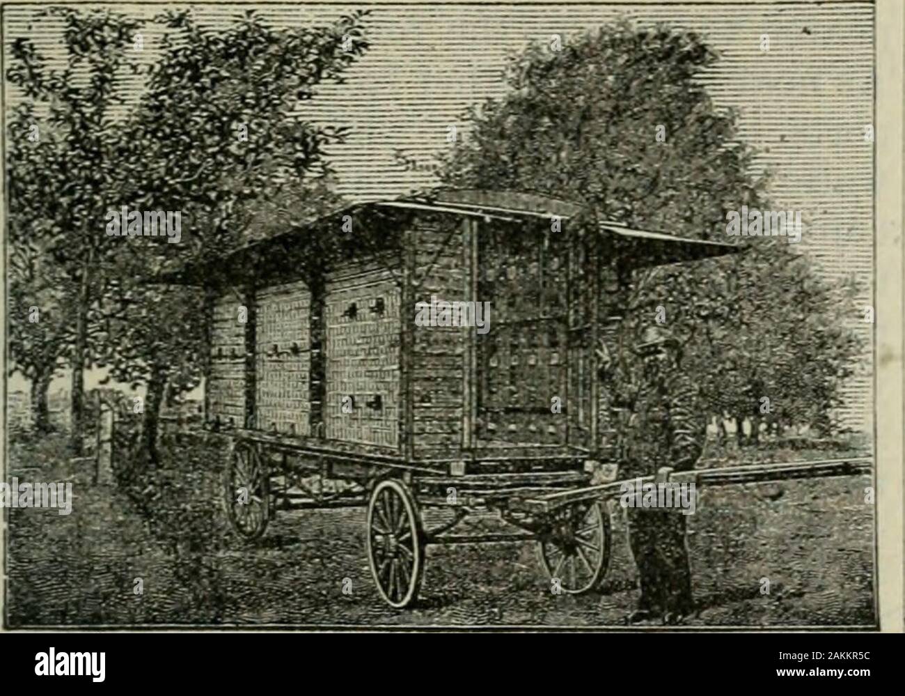 Das ABC der Biene Kultur: ein cyclopedia von jede Sache, die in Bezug auf die Pflege der Honig-Biene, Bienen, Honig, Nesselsucht, Arbeitsgeräte, Honig-Anlagen usw., Tatsachen von der Erfahrung von Tausenden von Imker alle über unser Land und später durch die praktische Arbeit in unserer eigenen Imkerei überprüft. , Können wir in der perfekten freedomfrom Räuber zu jeder Jahreszeit. Ar tificial Schwärmen, Königin - Aufzucht, etc., kann auf sehr zügig durchgeführt, und eine geringe Kosten für die Gründe, warum wir Männer haben-. Es ist gesagt worden, daß die Bienen im Haus stingworse als im Freien. Es gibt noch ein Stockfoto