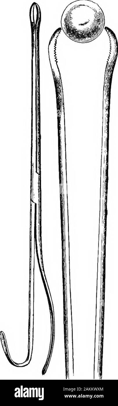 McClure's American Horse, Rinder und Schafe, Arzt, dass eine vollständige Beschreibung der Krankheiten, die für diese Tiere, zusammen mit einer vollständigen Liste und Methode der Verabreichung der Medikamente in der Behandlung erforderlich. BULLET DIFFBEBNT FOKCEPS der Muster. Gutta Serena. - (siehe Auge Krankheiten.) Herz, Krankheiten der. - Erkrankungen des heartlittle muss gesagt werden, und so wenig kann in der Art und Weise der Versorgung durchgeführt werden; also alles, was ich unter diesem Kopf vorschlagen, ist lediglich eine HEAET zu nennen. 125 Paar von den veränderten Bedingungen des Herzens, die in der weitläufigen Begriff Herzkrankheit allembraced sind. (1.) Vergrößerung des Herzens Stockfoto