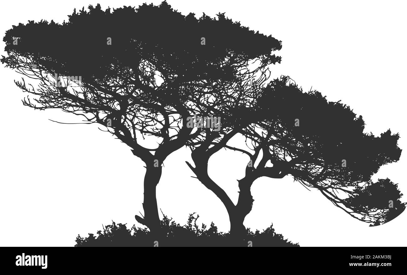 Afrikanischen Baum Silhouette. Vektor Illustration auf weißem Hintergrund. Stock Vektor
