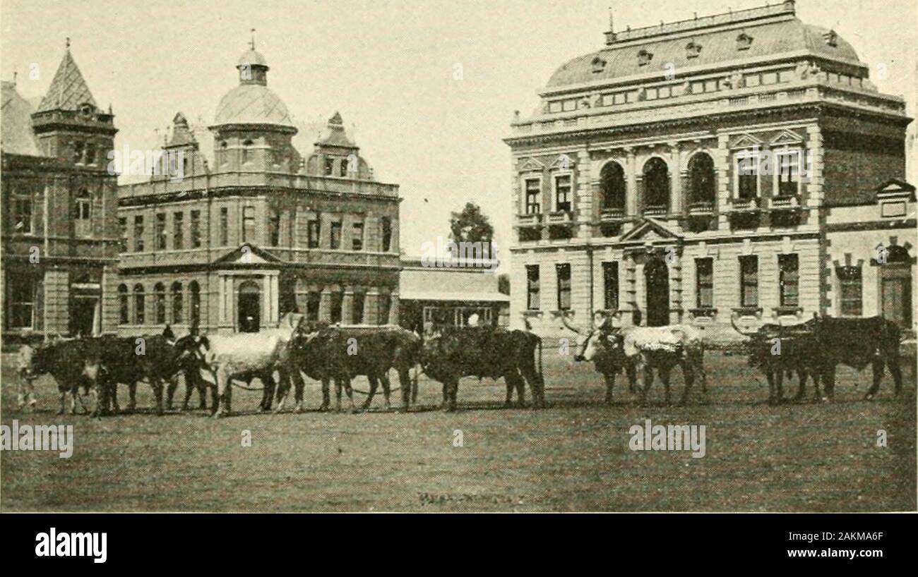 Der Kolonie Natal; eine offizielle illustriertes Handbuch und dem Guide. Die HOSPl eine Abfolge von jungen Wäldern gesehen werden kann, und in der Tat thegreater Teil der Route ist belebt und verschönert byshrubberies. Die Stadt Pretoria in einem Kreis von Hügeln liegt, andmay Recht als einer der beschrieben werden, wenn nicht der schönste interiortown in Südafrika. Von der Spitze von einem der umliegenden Hügel im Sommer gesehen, der Ort 270 hat das Aussehen eines riesigen Blumenstrauß. Die Gebäude sind in Loft manyfine bowered)^Bäume. Erfis Xearh - jeder durch eine Rose Zaun umgeben, ein Stockfoto