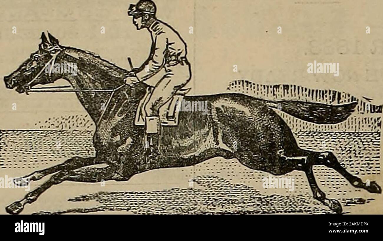 Züchter und Sportler. RO. Wewould besonders die Aufmerksamkeit der unbegrenzten ex-Zelt der Strecke an und über SAN BRUNO und McMA-HONS für GEWEHR PRAXIS. Diese Orte sind aber ein Abbruch Abstand von SanFranciBCO und bieten spezielle Anreize, die wanderfans sehr Diese manly Sport. Besonderer Hinweis. Sportler und andere Präsentation Passage Tickswill zu kostenlosen Transport IHRER TUN ** berechtigt -?, wenn im Gepäck Autos durchgeführt und In kostenlos ofTrain Baggagemen. Zug instructedto Baggagemen sind Schecks für alle Hunde in receved BaggageCars. esrlit um vor Unfällen zu schützen, Dowhile in Tra Stockfoto