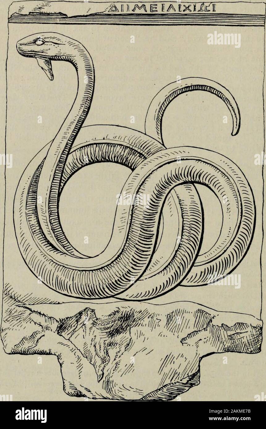 Zeus: Eine Studie in der Alten Religion. os A.a.o. stellt fest, dass die Rwt^ ewt bedeuten könnte entweder Ad MctXix ^ wi orAcr/cXT/Trtwt {id.in thtjouifi. Praktikant, dArch. Num. 1901 iv. 503 - 507). ^ Ant. Skulpt. Berlin, S. 271. 723 mit Abb., R. Kekule von Stradonitz Diegriech-ische Skulptur^ Berlin 1907, S. 202, S. Foucart im Bull. Korr. Die Hölle. 1883 vii. 509. 5, Harrison Proleg. Gk. Rel? S. 17, 19 Abb. 2, Reinach Rep Reliefs ii.31. 4a stileof Hymettian Marmor ohne Inschrift. Mein Bild. 946 von einer Transparenz in der Col-lection des Newnham College, Cambridge. Höhe 0-42™, Breite 0* 23 0* 25^Die Stockfoto