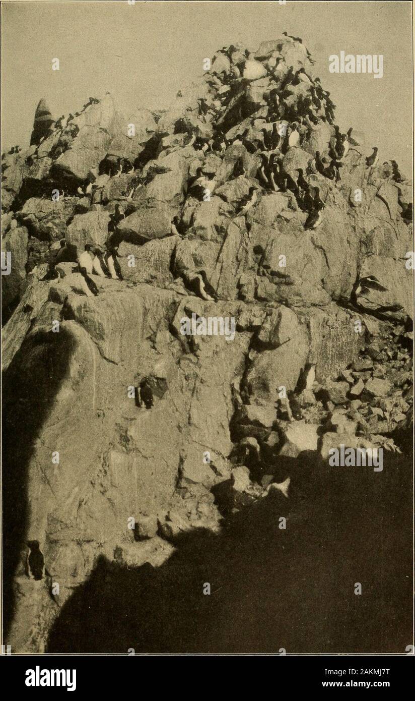 Umnak Fotos und Bildmaterial in hoher Auflösung Alamy