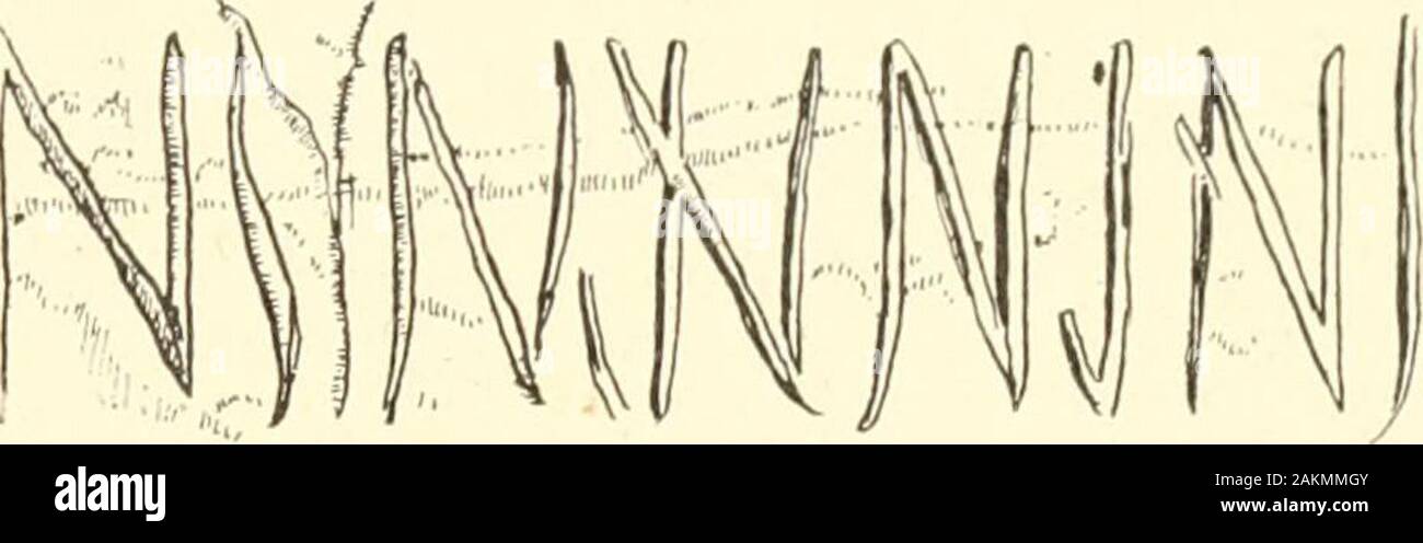 Das Pine-tree Küste. MONHEGAN AUF DEM MEER. 21. ROCK INSrniPTIOK. JIONAMS. Siehe unten tlie sogar indem Sie beugte sich über den Rand des]) r (> ci]) Ich<-(. thoughI konnte hören das Breakers dort unten Brüllen unter tlu; gefallenen Felsen. Dann ging ich zurück Männer sprechen über den Preis von Makrelen zu hören. Die Besucher dieser Felsen sollten gegen gehen t() o in der Nähe der Schwelle gewarnt, als tiefe Risse an mehreren Stellen an der Oberfläche geöffnet haben, möglicherweise durch theaction Frost, möglicherweise durch die Untergrabung der Klippe am Meer. Monanis sollte besucht wegen der bemerkenswerten Rock inscrii) ti () Stockfoto