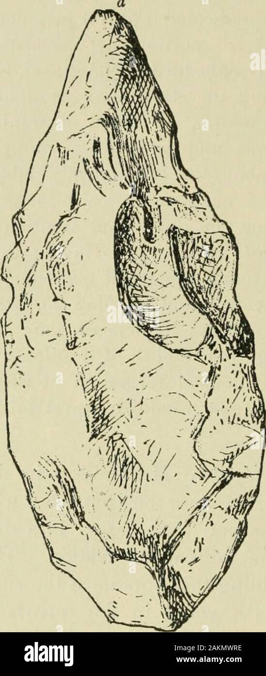 Die Eiszeit in Nord Amerika und seinen Einfluß auf die Antike des Menschen 5. edwith Viele neue Karten und Abb., enland umgeschrieben, die Fakten, die es zu modernisieren, mit Kapiteln über Lake Agassiz und die wahrscheinliche Ursache von Eiszeit zu integrieren. mehrere Jahre, bevor in einem Shel-ter-Höhle, da durch die raiboad Ausgrabung zerstört. Thiswas in der Nähe der kleinen Gebäude, das an der rightof unser Bild angezeigt wird.* interessiert als Jugend in den Berichten ofcave Erkundungen in Europa, die er sorgfältig ausgegraben Dieses rockshelter in ISfifi. Notizen zu machen und die Erhaltung everythinghe gefunden. Wie bei der Tim aufgezeichnet Stockfoto