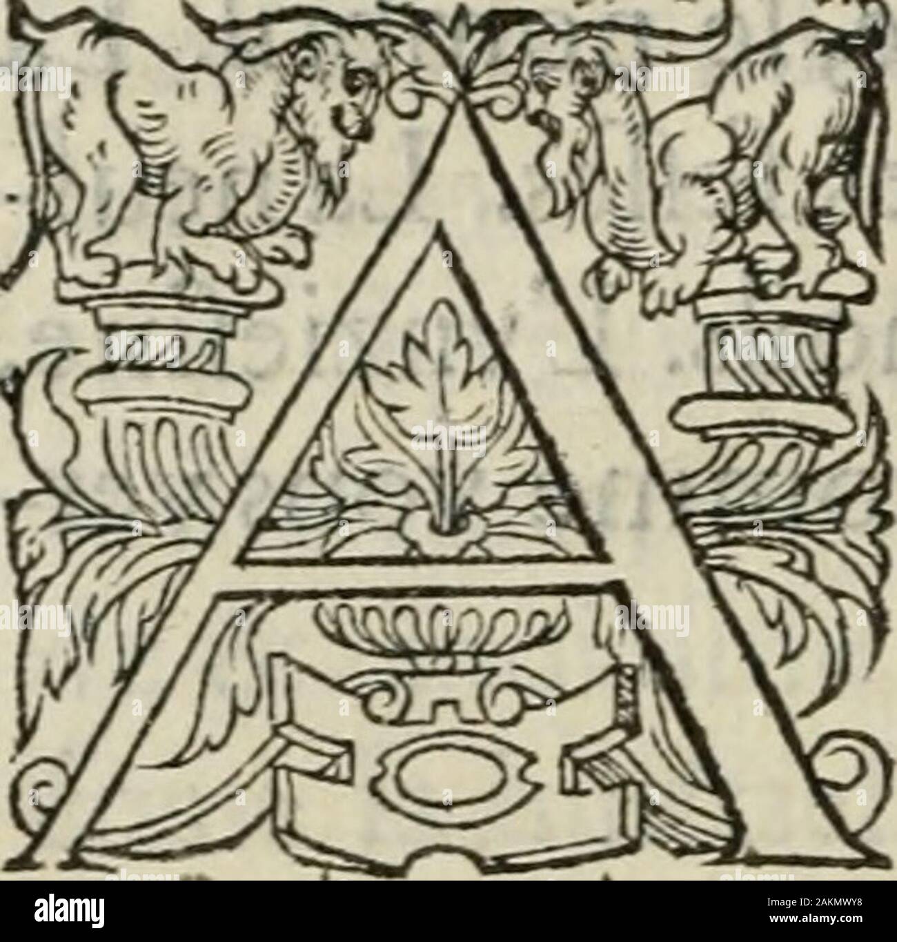 La geomance dv Seigneur de Christofe Cattan, gentilhomme GeneuoysLiure nicht * plaisant & recreatifAuec la roüe de Pythagoras. SEPTENTRION, M LIVRE ZWEITE. PROLOGUEVE. près auoir fùflifàmmcnt Trai & équeceftque Geomancye, & la ma-nière de la pratiquer, & lvtilité ôcprofit qui en reuient, pour la fubtili - réde La fcience 5 & delà récréationquon prend en Elle, enfemble du fçauoir ôc expérience Quil conuient auoir en lAftrolo - gie: Il reftc de defcouurir maintenant la qualité de ceftart par les Douze maifons du Ciel, & leurs lignifica, qui font Telles. De toutes les Befestigungsanlagen, qua La premièr Stockfoto