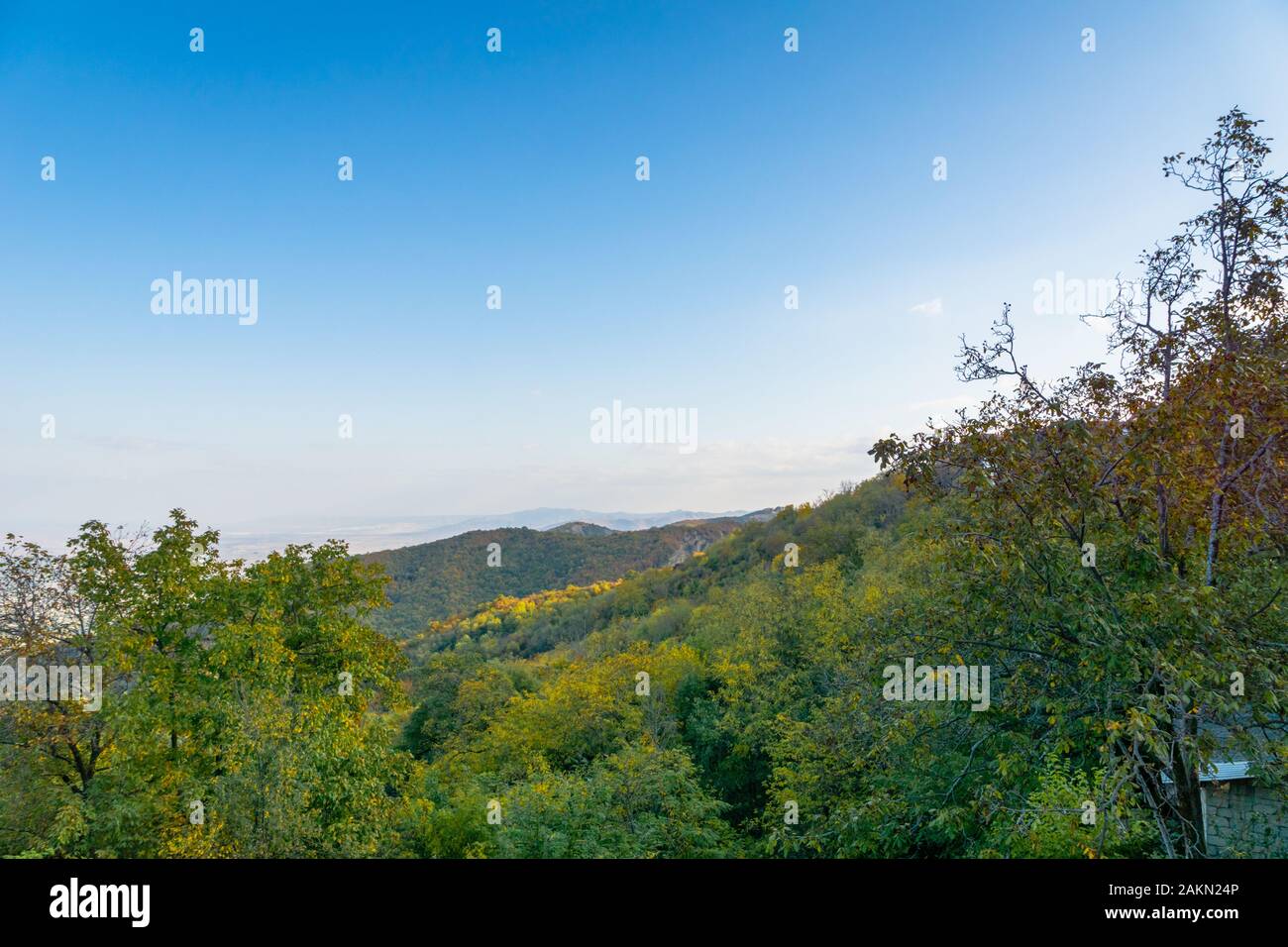 Herbstblick auf die Kakheti-Region von Georgia. Herbstlaub und Bäume in der Stadt Sighnaghi. Stockfoto
