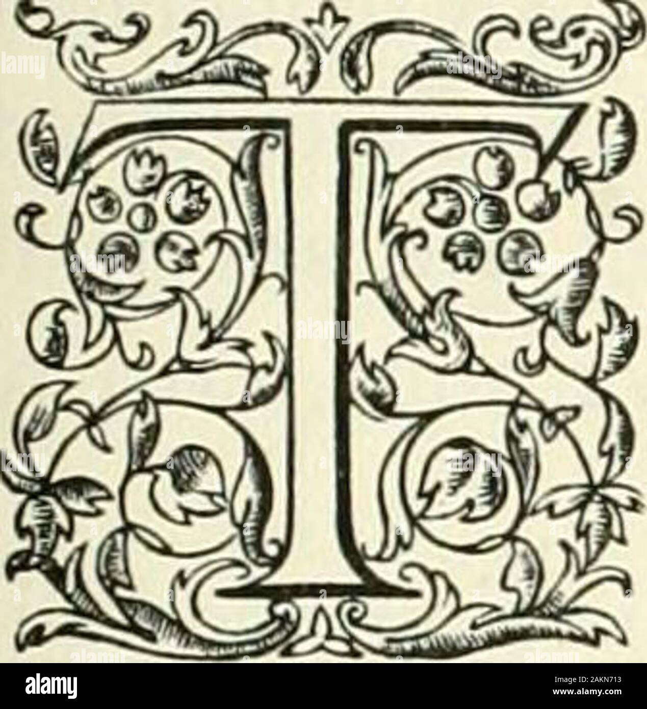 Ein Kalender des inneren Tempels. Handlungen des Parlaments. William und Mary.. Er folgenden sind die Namen der benchers den Parlamenten whoattended mit der Anzahl der theirattendances während des Jahres: - Johannes Mosyer, trea - surer, 6; William Farrer, 5, einmal als stellvertretender trea - surer; Charles Hollowav, 3; John Osborn, 3; Richard Edwards, 2; Nicholas Courtney, 2; Richard Powell 2; Thomas Trevor, 2; Philip Pargiter, i; andThomas Farrer, ich. 1688-9. Feb. 10.- Bestellungen, 40 ^. bezahlt Rowland Morgan, eine der turnspits werden, und dass der Rest der Holzverkleidung werden finishedaccording zu Was ist bereits tun Stockfoto