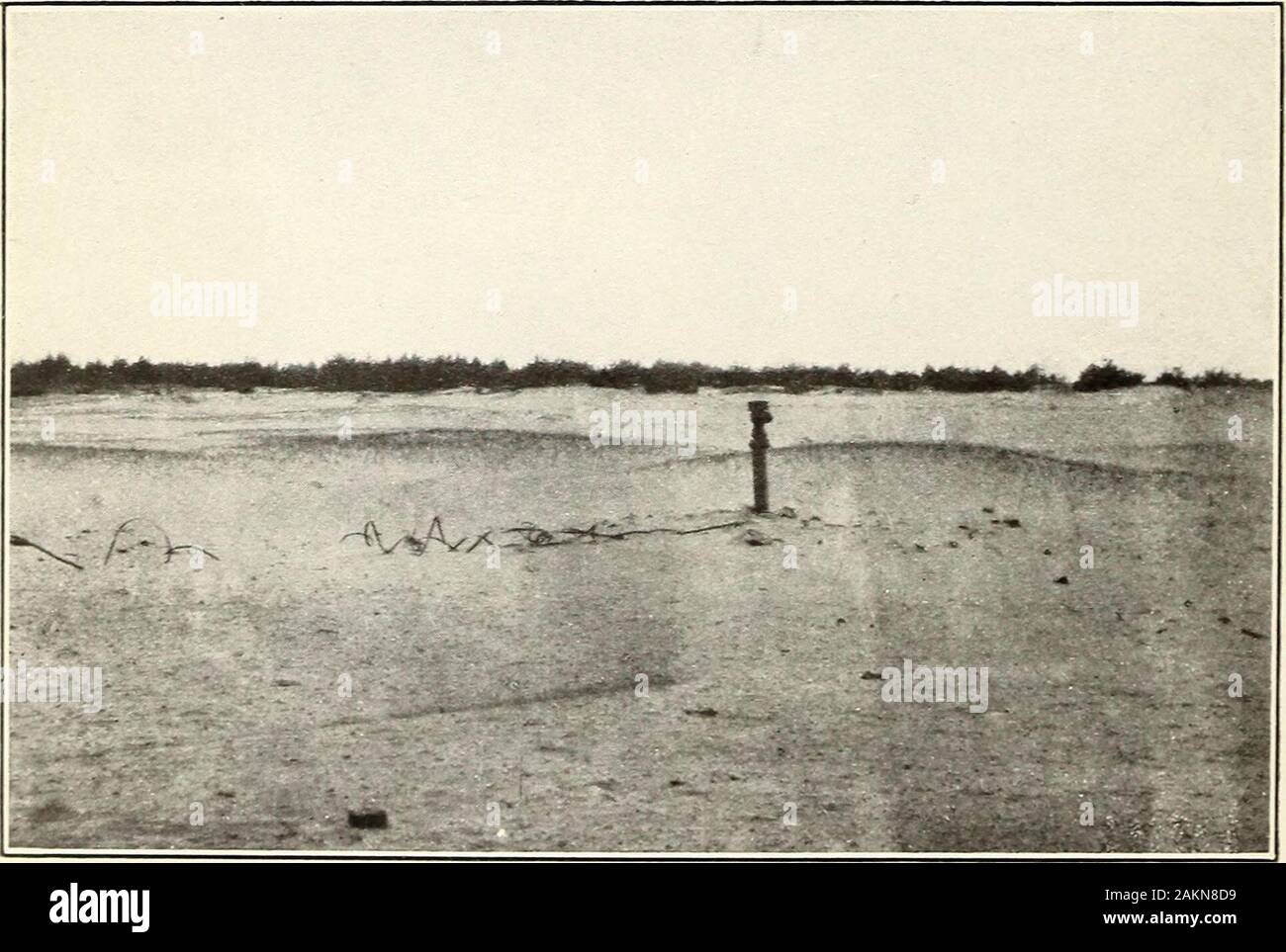Forstwirtschaft und Entwicklung der Gemeinschaft. Abb. 1.- Die Verwüstung auf der Au Sable River, mich das Sägemehl Haufen im Hintergrund markieren Sie die Ruinen einer ehemaligen Sägemühle, während die Verrottung Stapel im Vordergrund sind alles, was von der großen Werften, die früher die Fluss- und Seeufer gesäumt Links.. F-27 ICH 75 eine Fiq. 2.- Diese Drifting Sand Dünen waren einst ein Teil eines wohlhabenden Michigan Sägewerk Stadt. Im Vordergrund Hinweis der Hydrant, ein Teil der ausgezeichnete Wasser System, das früher von der Stadt gepflegt. FOBESTEY UND ENTWICKLUNG DER GEMEINSCHAFT. 25 wäre, wenn für die Zwecke der Einstufung zugelassen Stockfoto