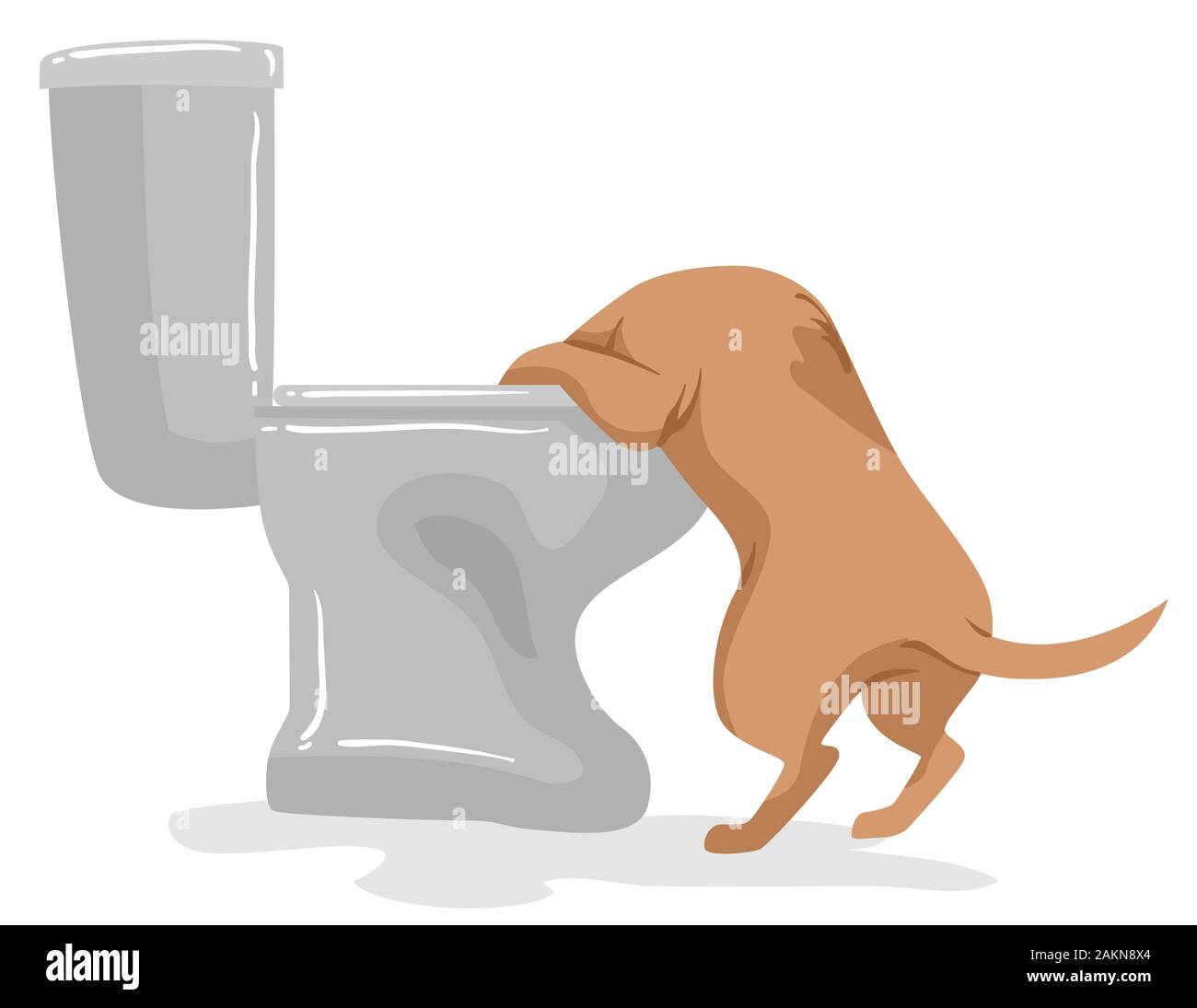 Abbildung: Ein Hund das Trinken aus dem WC-Schüssel Stockfoto