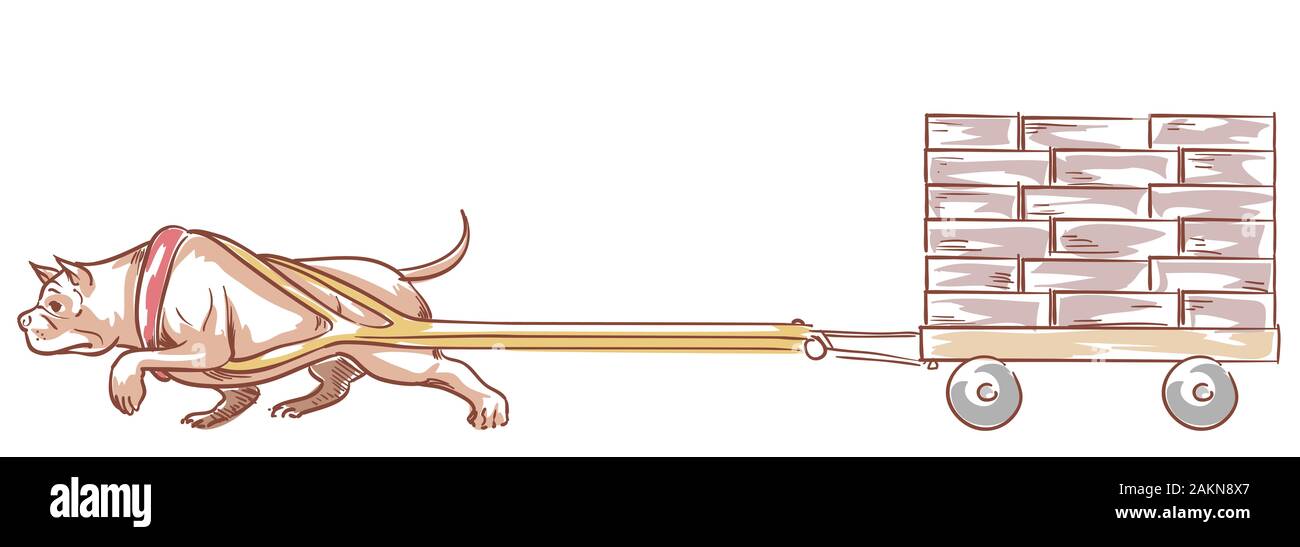 Abbildung einer Grube Stier Hund Ziehen von schweren Beton oder Ziegel für Gewicht ziehen Sport Stockfoto