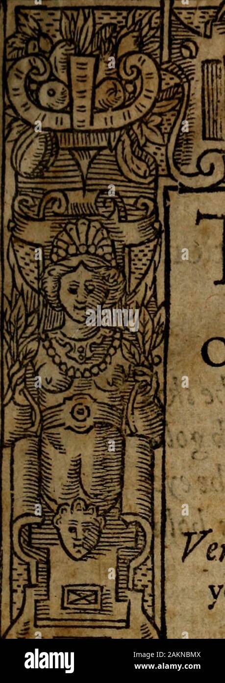 Der höfling des Grafen Baldessar Castilio: in foure Bücher deuided: Verie necessarie und profitabel für junge Kollegen und gentlewomen bei Gericht bleibende, pallace, oder Ort. 1 Er v:. oiirtier des Grafen Baidefsarcourtierofcountb 00 Cast Stockfoto