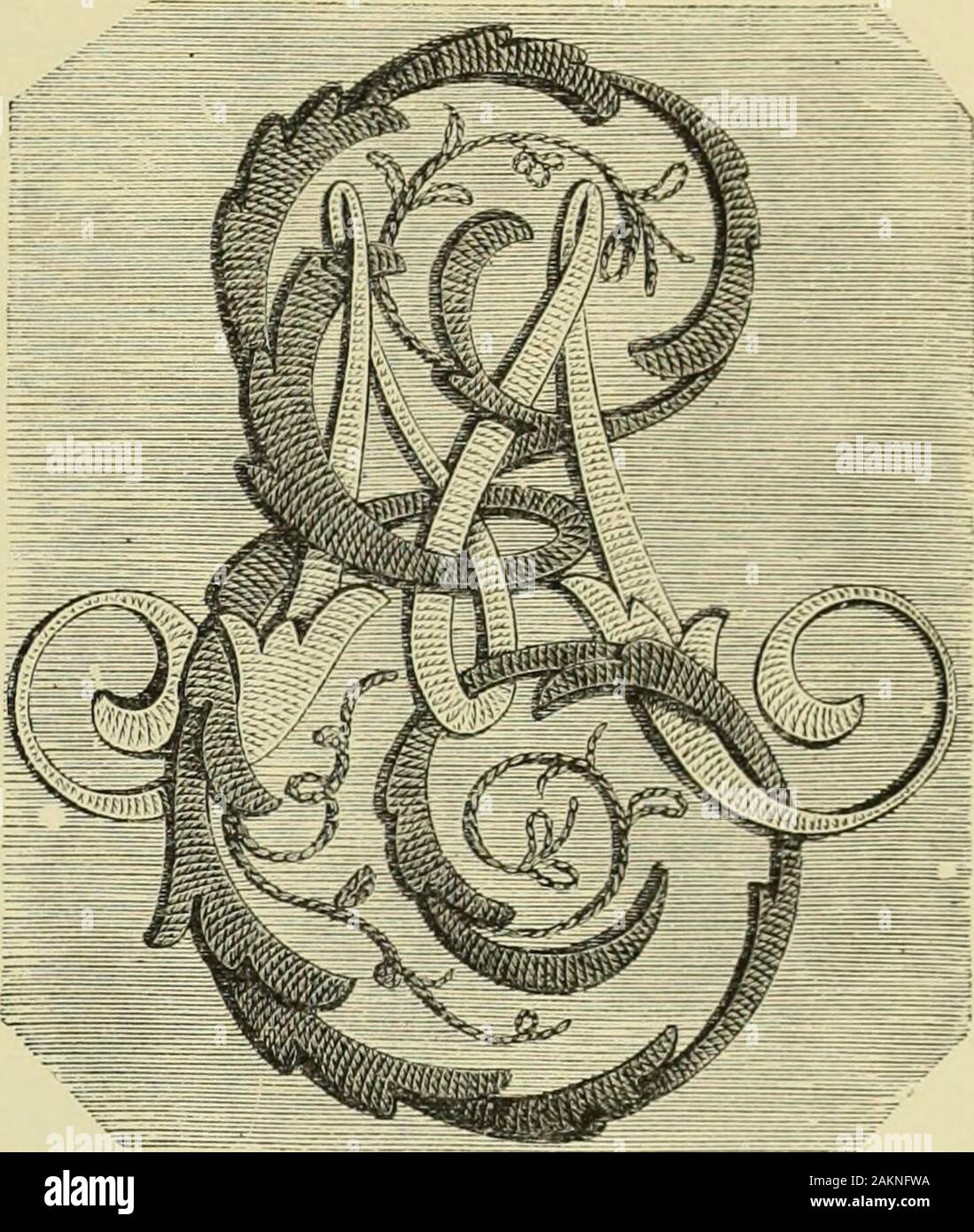 Das Wörterbuch der Handarbeit: eine Enzyklopädie der künstlerischen, Normalpapier, und ausgefallene Handarbeit voll Umgang mit den Einzelheiten über alle Maschen beschäftigt, die Arbeitsmethode, die verwendeten Materialien, die Bedeutung der Fachbegriffe und, soweit erforderlich, die Rückverfolgung der Herkunft und der Geschichte der verschiedenen Arbeiten beschrieben. Nr. 316. Sofakissen. Nr. 317. Detail von Sofakissen. Materialien: feinem Tuch, Zentrum, puff aus Satin und Grenze des Guipure Spitze. Crewel Stickerei ausgeführt mit Wolle und Geldbeutel Seide. Tomake: die Initialen im Detail Nr. 317 mit Geldbeutel Seide gezeigt und in der angehobenen Satin Stitc Stockfoto