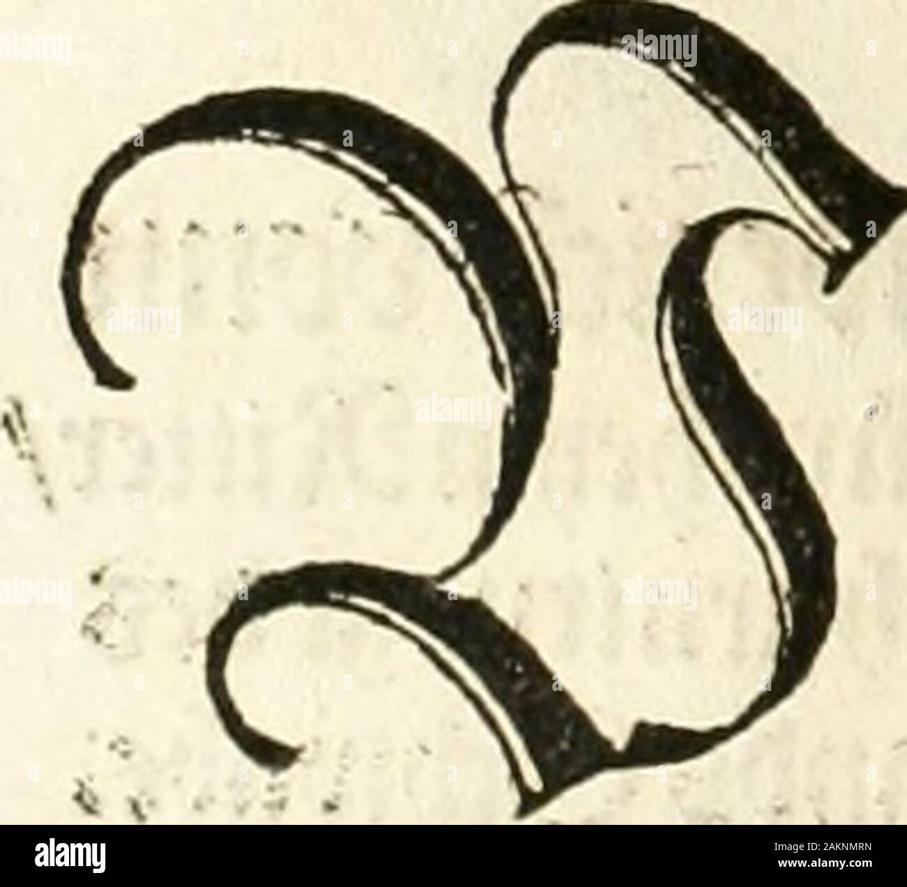 Anfang, Vrsprug Herkomen und des Thurniers inn Teutscher Nation: wieuil Thurnier biss vff den letztenn zu Wormbs: auch wie ein Vnnd welchen Orten sterben durch vñ gehalten wurde Fürsten, Grauen, Herrn, Ritter vñ vom Adel, Sie iederzeit besucht Nordworden sindt.. . Tij^tm^^ ic nottufft fclc () ö 5^^ ittcr fpicl cifoj Cit/3 üm äfften t) crcjt&gt; riif ioti" & ^u^ cfa^t tt) als §/bcfd^ nzb^ crj ^C^l^ö^^ fcnicivÄömgiont olp) %^xx^Oiniogt t&gt; cö (annt "ö3u^W^ivabcn/mit ervn namcn:^^^ (mhtx xitaidjtnwn) x hm 5^^ au cn^in?/t&gt; Ein ^ cv v&gt; | f fein nc^ frc^ anfürf) KN-feiner hw^^^ önn noefy Dicfcn ^f&gt; urniv laffc wölt Stockfoto