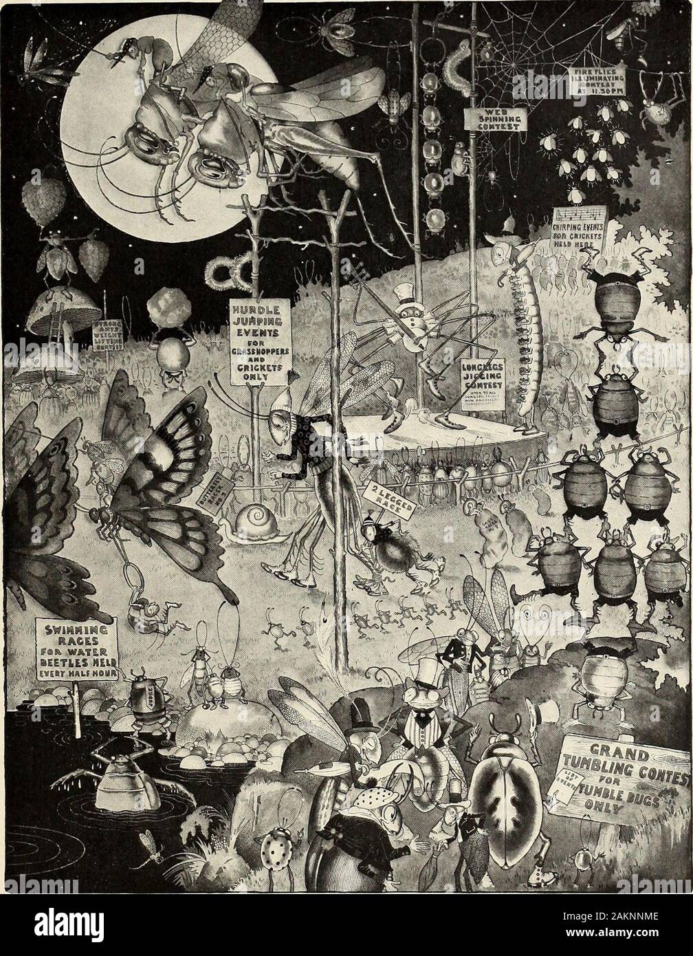 StNicholas [Serial]. * Xfcp * v 1908.] Die HAPPYCHAPS 545. Aber meine! Wenn die Wettbewerbe WAREN WIRKLICH BEGONNEN, SIE, DASS DAS FELD TAG WAR KEIN ENDE DER SPASS entdeckt! Vol XXXV.- 69. Hinweise ant. Hilfen für Mutter 99 Stockfoto