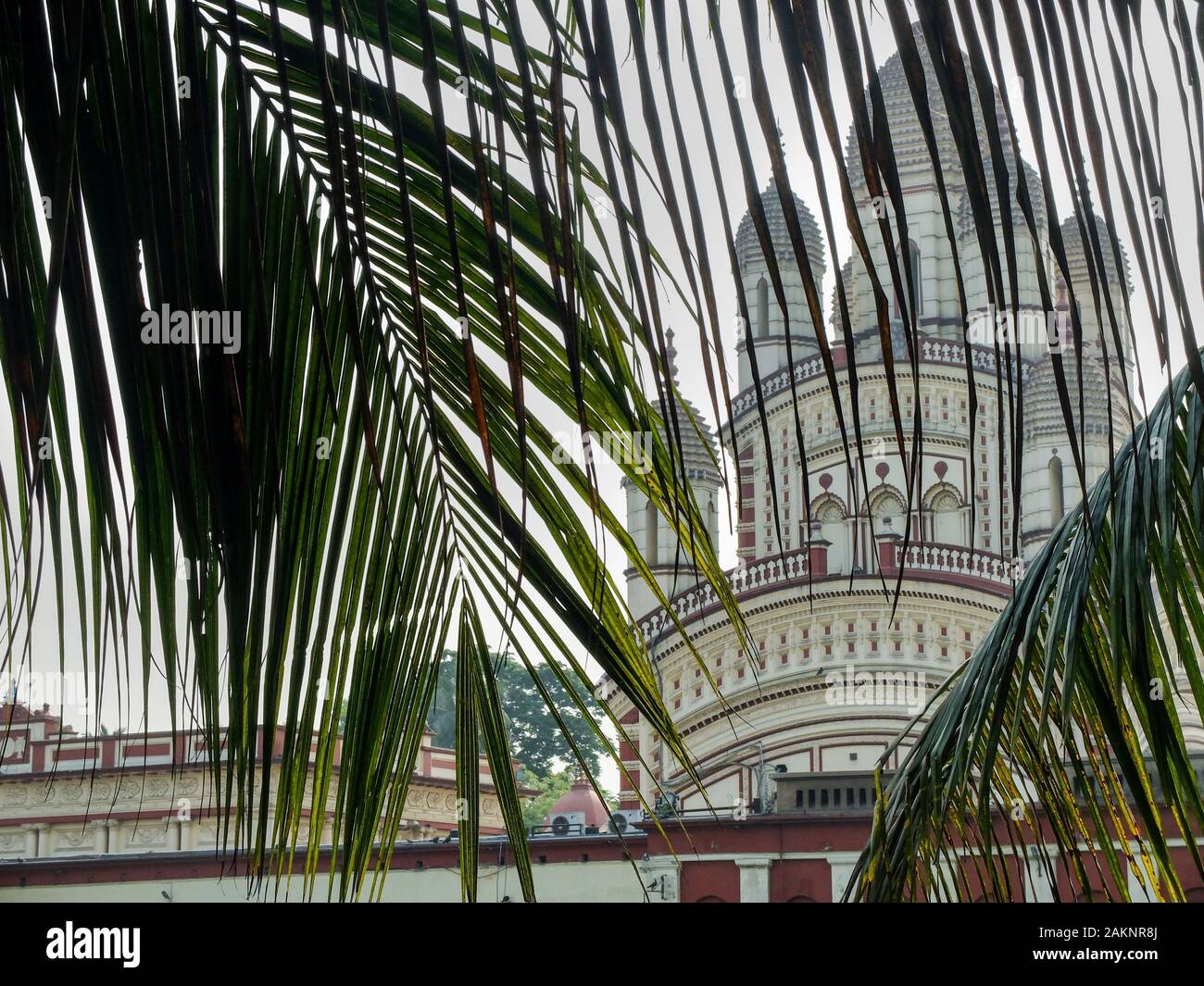 KOLKATA, West Bengal/INDIEN - 22. MÄRZ 2018: Teil der Dakshineswar Kali Tempel mit Palmblättern im Fokus Im Vordergrund gesehen. Stockfoto