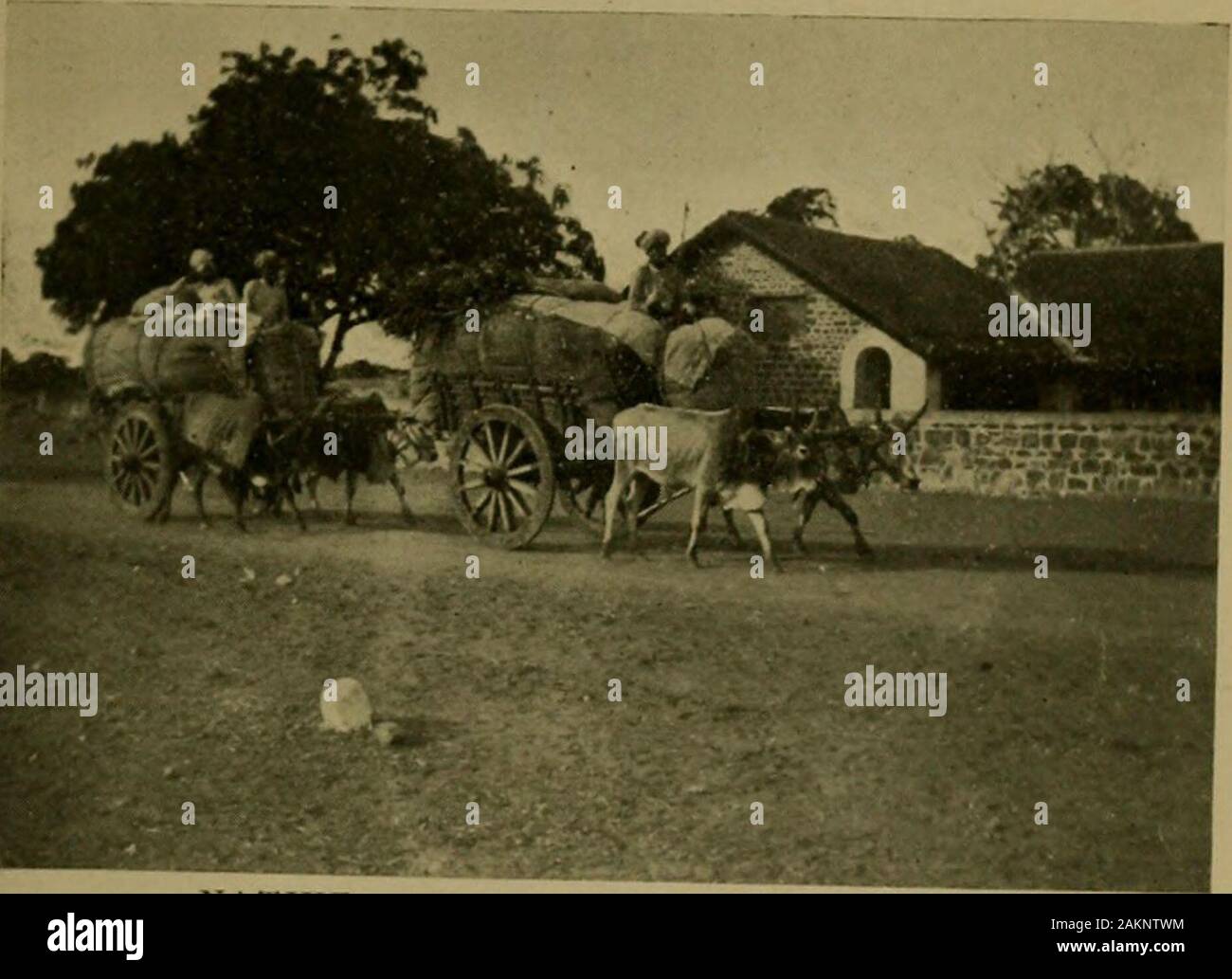 Eine kalifornische Umrundung des Globus. s 57309, am Sonntag, einer der Männer, die ihr gut arbeitenam Gestern starb an der Pest heute. Die Bemerkung verursacht keine Überraschung, wie es wäre, wenn inAmerica geäußert. Ich habe mit den Missionaren in vielen separateparts von Indien gesprochen. Niemand weiß, in Amerika, ausgenommen Sie comeand sehen, der Arbeit, der Missionare und der priva- ten Sie gehen durch, doch der wahre Missionar (und ich sawno andere) jede Schwierigkeit stellt nur eine Chance. Thereal Ursache und wollen mehr Erfolg in Missionen ist in christlichen Ländern genannt. Der Mann oder die Frau in England orAmerica Stockfoto