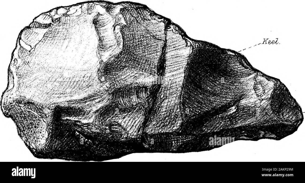 Der Übergang von der Rostro-Carinate Feuerstein Anbaugeräte auf den Tongue-Shaped River-Terrace Implementiert von Kies. Post. * L eft 1 Kunst er al s urf a.c e. Cich Post. Ant. Stockfoto