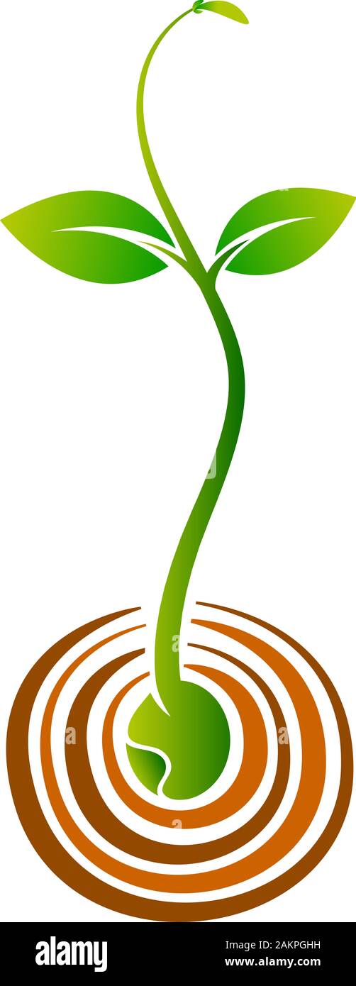 Logo für Wachstumspflanze Stockfoto