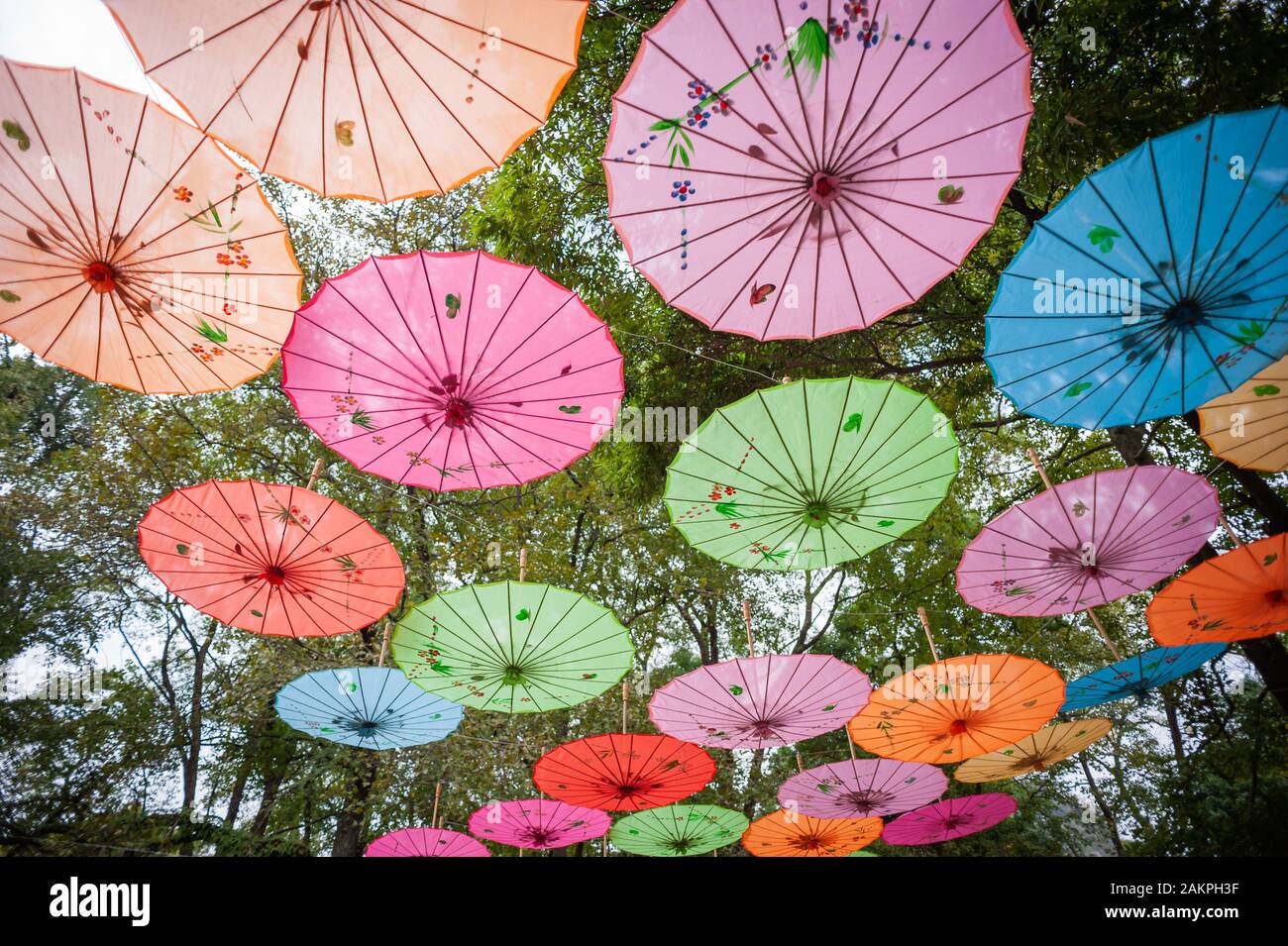 Chinesische traditionelle bunte Sonnenschirme auf Bäumen Low Angle View in Guilin, Guangxi Provinz, China erhängt Stockfoto
