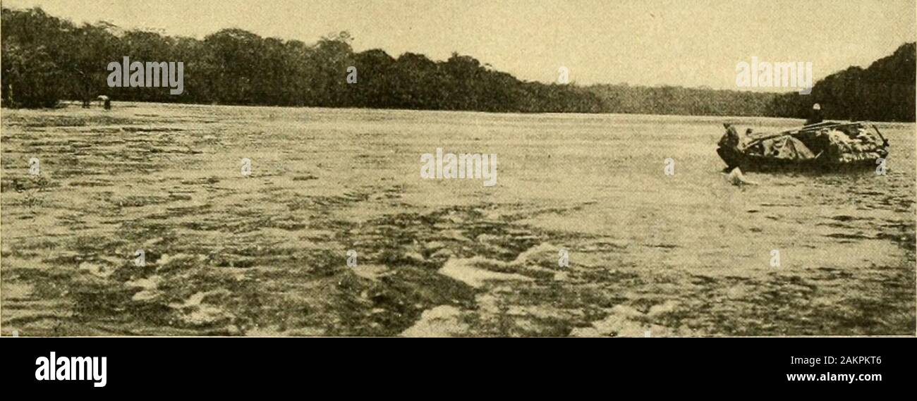 Voyage au 7 août 1899-25 Trombetas, novembre 1899. . JusquauRio Mapuera. Ein quebra Po toute la Rivière sécoule par un étroit Canal, Rive Gauche; toutle Reste est Rochers et Plages avec de Grandes tlaqties stagnante Deau. Dans cetunique Canal nous rencontrons deu Forts travessâos également dangereux: lecanot ne peut Passer quà vide. Le vent accourt à Travers les Forêts; auf Entend au Loin des Zweige qui cra-et plus quent Près des tourbillonnements de Feuilles mortes: cest La Pluie quisannonce. Oh! Ces Promenaden sur ces interminables pédralsdes cachoeiras aux heuresles plus chaudes de la j Stockfoto