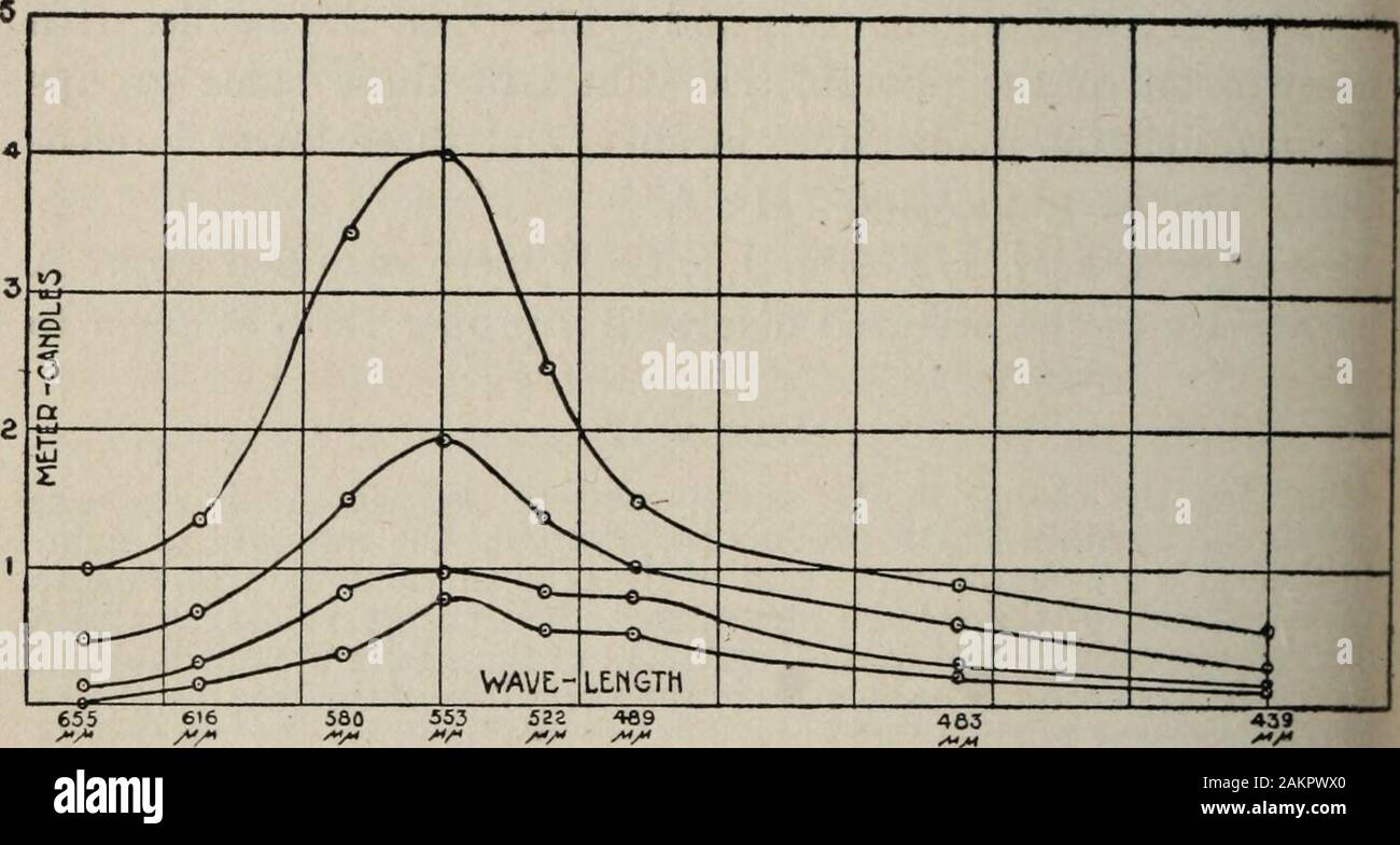 Bryn Mawr College Monographien. Durch den Vergleich der Prozentsätze der in Spalte 2 mit 50 Prozent festgestellt werden, die in Spalte 3 mit 25 Prozent; und in Spalte 4 mit 8 33 Prozent. Stimulus Bezug ofphotometric Wert von 1/2 eine Aexpressed in Prozent Verhältnis ofphotometric Wert von 1/4, ein Aexpressed in Prozent Verhältnis ofphotometric Wert von 1/12 ein in Prozent Rot Aexpressed (655 mm) Orange (616^Ji^x) Gelb (580mm), Gelb-grün ^ (533 mm) Grün (522 mm) Grün-blau... (488^x^,) Blau (463) Violett (439 iJitx fxtx) 47.9649.0744.1247.7654.9274.6566.8346.43 15.3126.0224.2623.8833.6155.6334.2729.29 1.537.6610.2919.3 Stockfoto