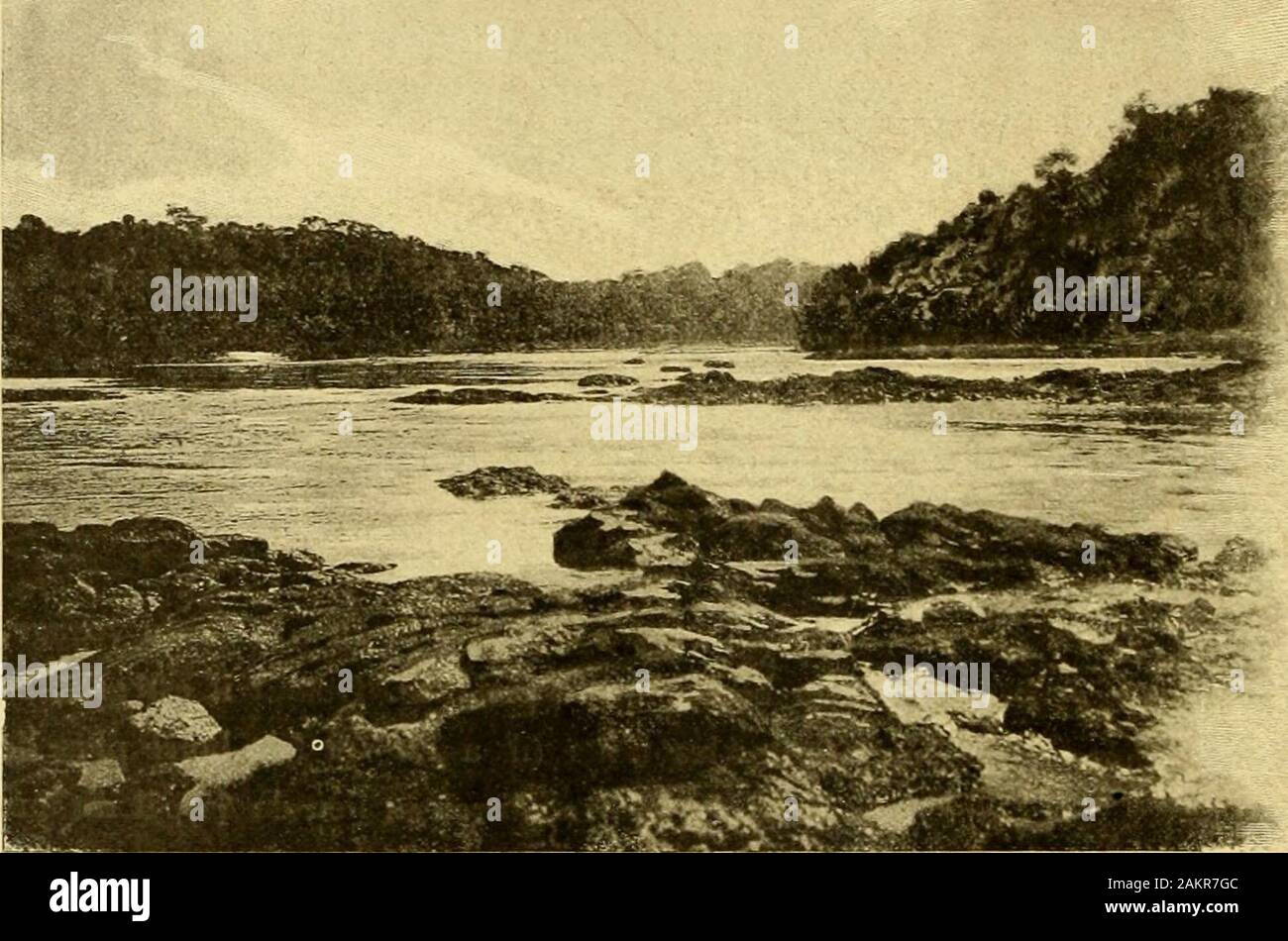 Voyage au 7 août 1899-25 Trombetas, novembre 1899. . S-jeannes de Spirituosenfabrik en un mois, soit loo Liter au lieu de45), il dit auxautres Quil a laissé dêtre Bête", ce qui Lui serait difficile. Il a ses préférés etpour eux il y a grande Distribution, même de nos konserviert. ne. Reise AV TluniBETAS. "V^ ides! Tu pviix limai; iner le Bond que Jai fait jusquà Lui. Et cétaitvrai, Elles étaient Vides! &Lt;Alors me voilà Nebenklägerin par Le Sentier, faisant des entailles dans les arbresà droite El à i^Auche herum; pauvres arbres, ILS-nen pouvaient Mais! Mais en Marchant. Da Cachoeini duas Praias.Je réilcchis q Stockfoto