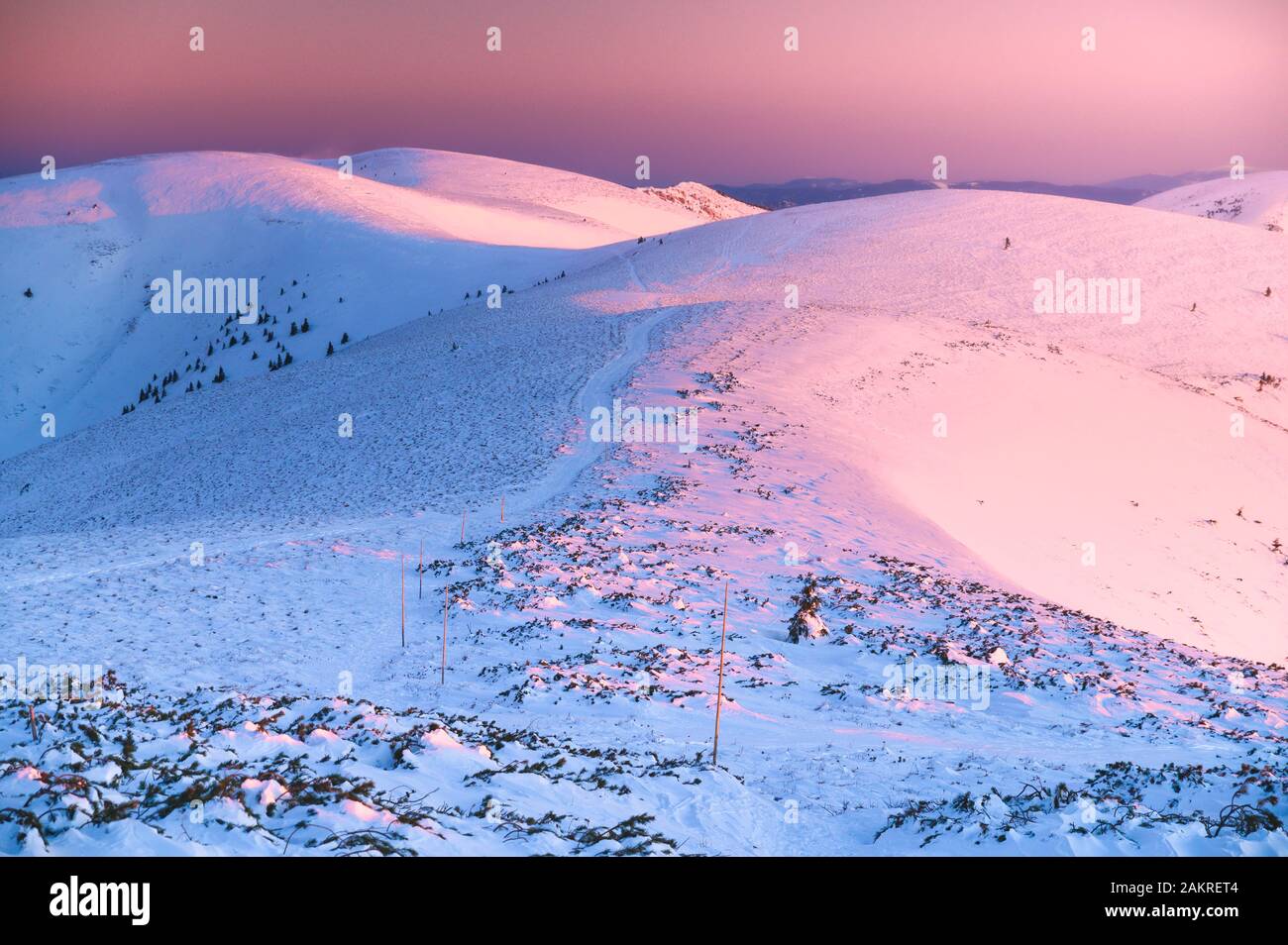 Winterberge Grat in rosa Sonnenaufgangsfarben, Hügel bedeckt von weißem Schnee. Stockfoto