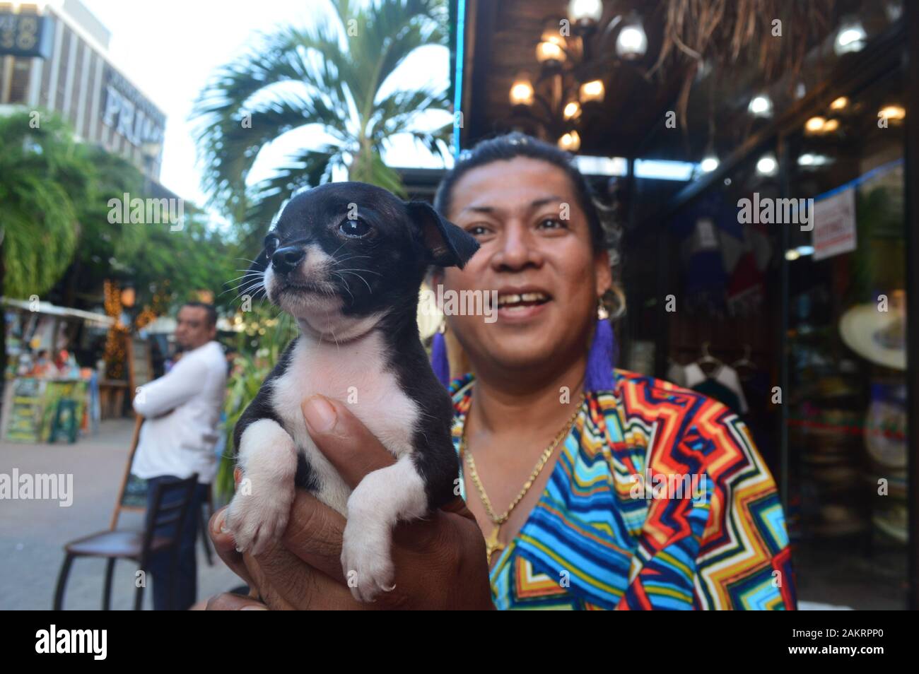 Transgender Person, die einen chihuahua zum Verkauf hält, Playa del Carmen, Mexiko Stockfoto