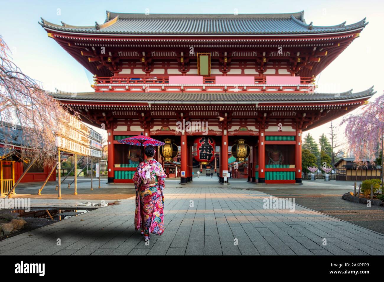 Junge asiatische Frau tragen Kimonos japanische Tradition gekleidet Sightseeing in Sensoji Temple Gate mit Kirschblüte Baum im Frühling Saison in mornin Stockfoto