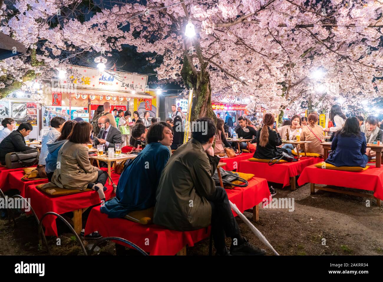 KYOTO, JAPAN - 7. April 2017: Japan Massen genießen die Kirsche Frühlingsblüten in Kyoto durch Teilhabe an saisonalen Nacht Hanami Festivals im Maruyama-Park Stockfoto
