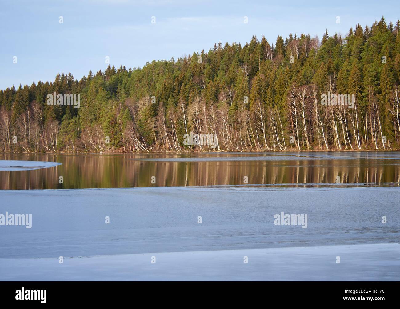 Teilweise gefrorener Aulankojärvi-See im Naturpark Aulanko in Hämeenlinna, Finnland. Sonniger schneeloser finterwald im Hintergrund. Klimawandel in Stockfoto