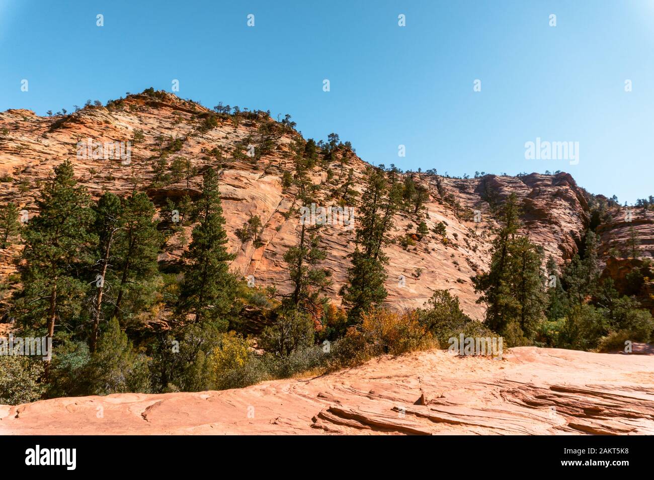 Hohe Plateaus, Labyrinthe aus schmalen, tiefen Sandsteinfansen und beeindruckenden Felsformationen prägen den Zion National Park im Südwesten Utahs. Stockfoto