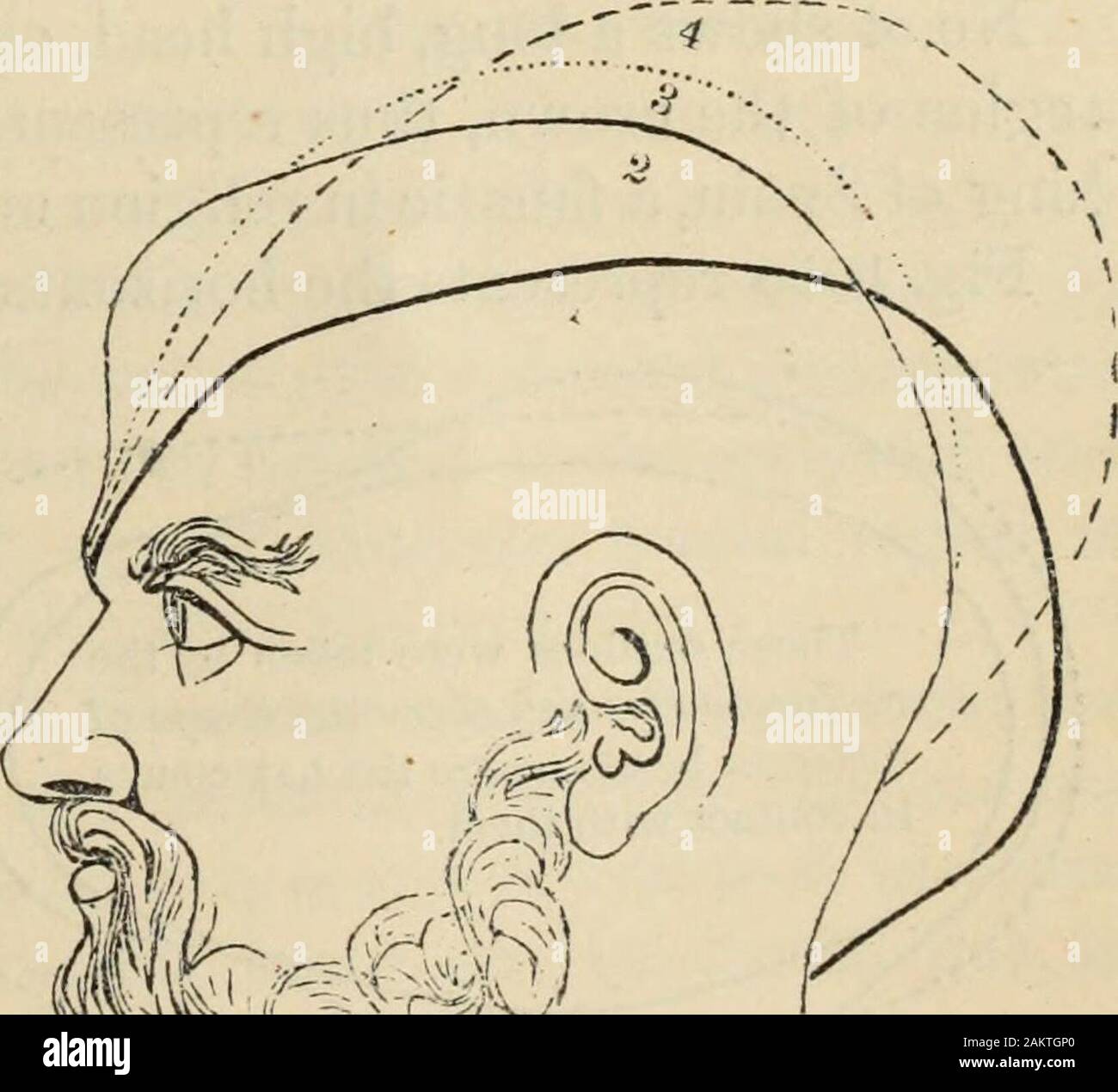 Neue Physiognomie: oder Anzeichen von Charakter, wie durch Temperament und externen Formen manifestiert, und vor allem in den "das menschliche Antlitz der göttlichen." Rto ermöglichen tlie Leser irgendwelche Anspielungen auf es in otherparts der Arbeit zu verstehen. [Chap, vil] Phroenology, wie hier vorgestellt, können als abranch der Physiognomie betrachtet werden, die Zeichen behandelt des inder Kopf allein. Bei der Herstellung der Kopf ein spezielles Thema der phys-iognomical Beobachtung (nach Prüfung der Tempera- oder körperliche Verfassung des Einzelnen), untersuchen im Hinblick itgenerally tosize, um judgewhether kann Call-ed-l Stockfoto