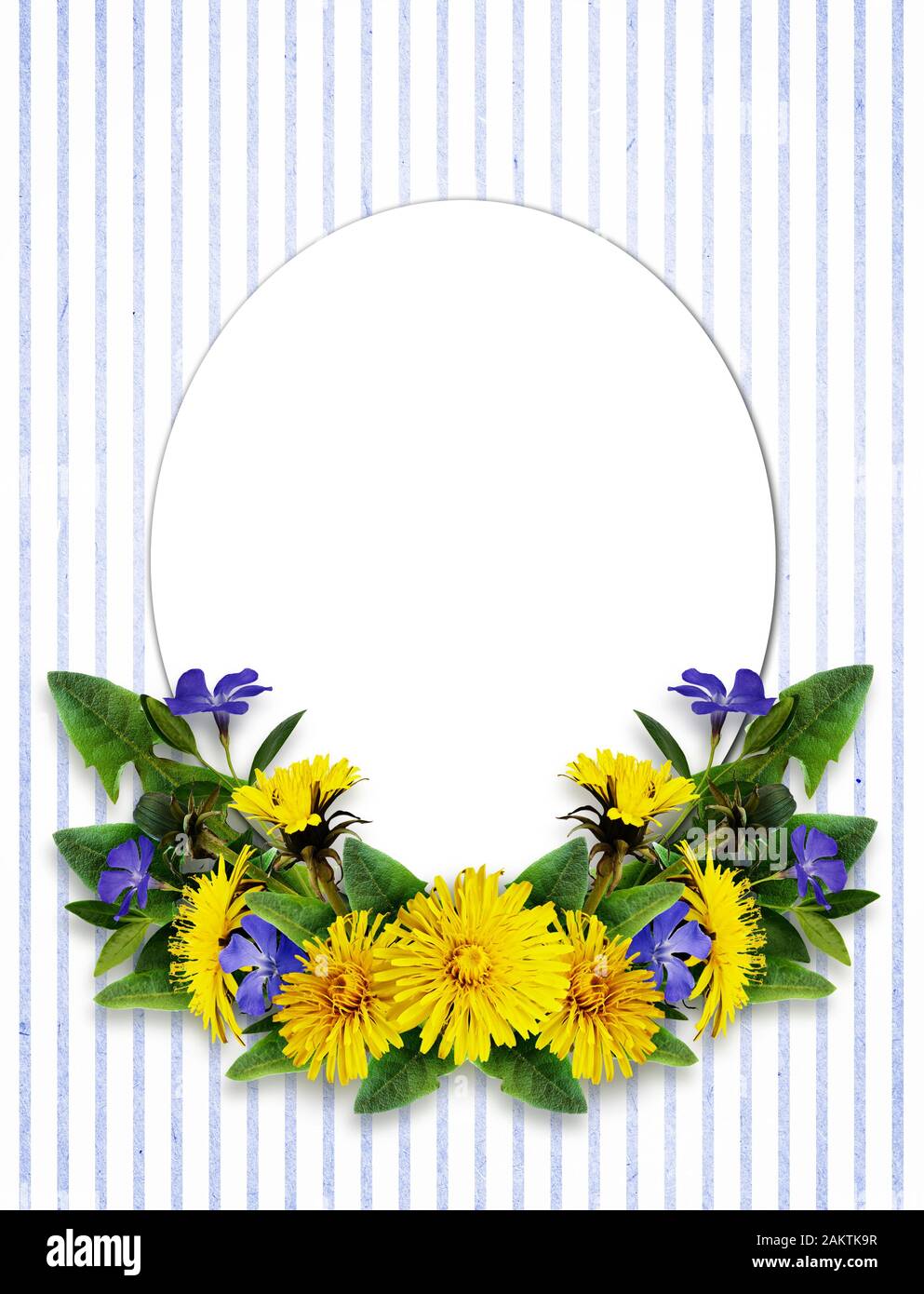 Löwenzahn und periwinkle Blumen und eine Karte auf weiß und blau gestreiften Hintergrund Stockfoto