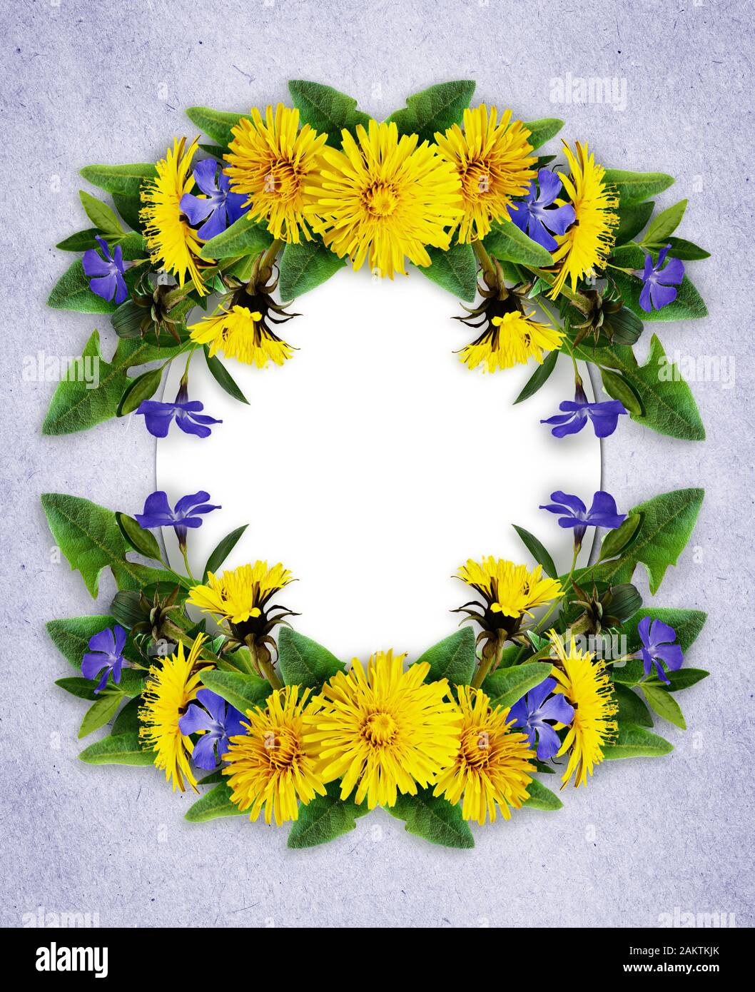 Löwenzahn und periwinkle Blumen Rahmen auf blauem Papier Hintergrund Stockfoto
