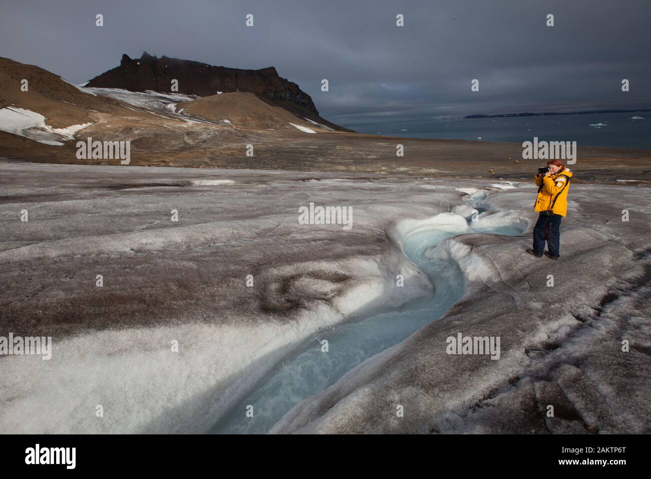 Champ Insel, Franz Josef Land, russische Arktis Stockfoto