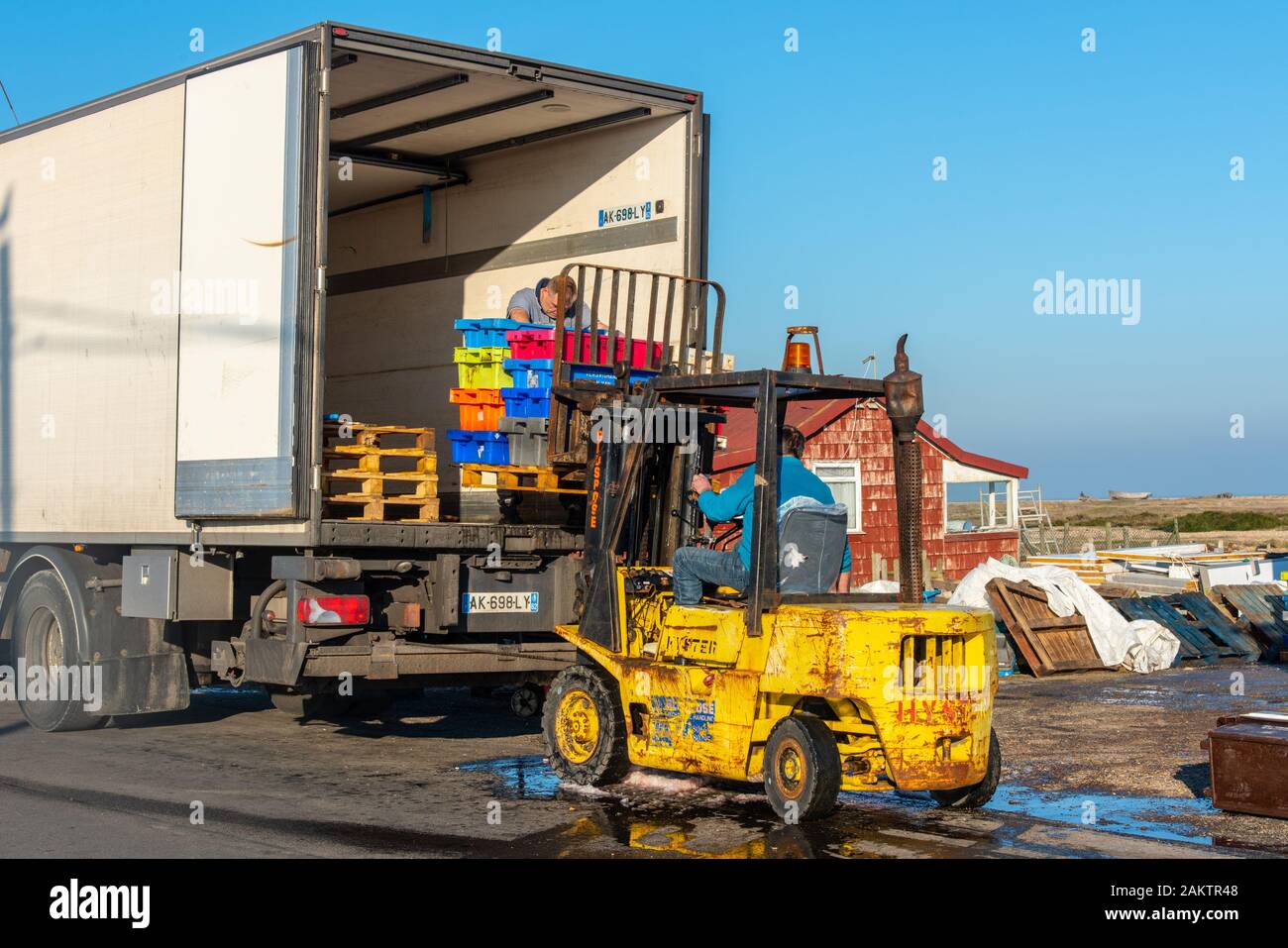 DUNGENESS, Kent, Großbritannien - 15 May 2019: lokal gefangener Fisch auf einen Französischen registrierte Lkw für die Ausfuhr verladen werden. Stockfoto