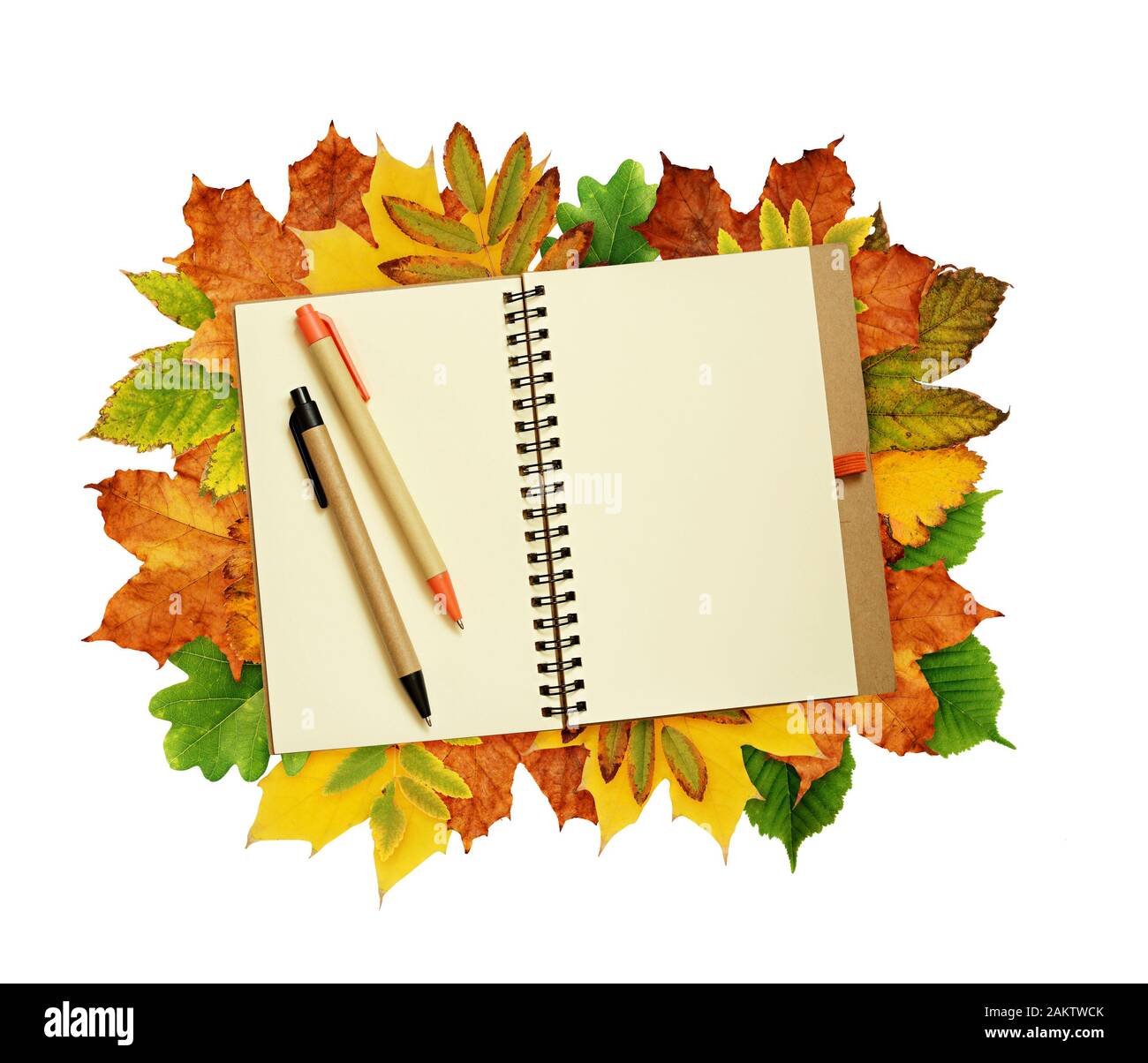 Notebook und Stifte auf trockene Blätter im Herbst Rahmen isoliert auf weiss Stockfoto