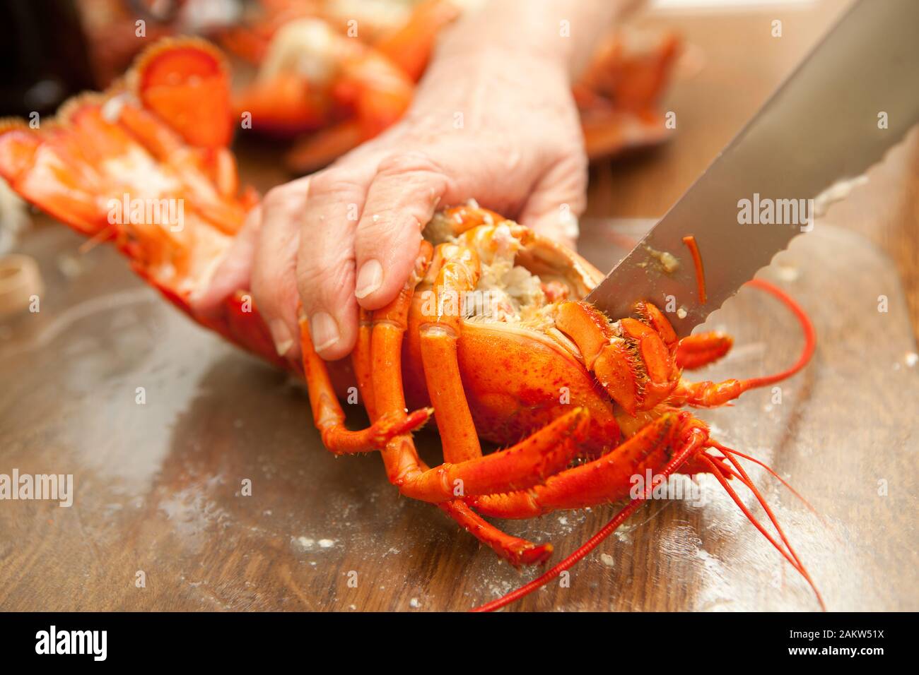 Hände vorbereiten und Schneiden eines gekochten Hummer in einem Restaurant Stockfoto