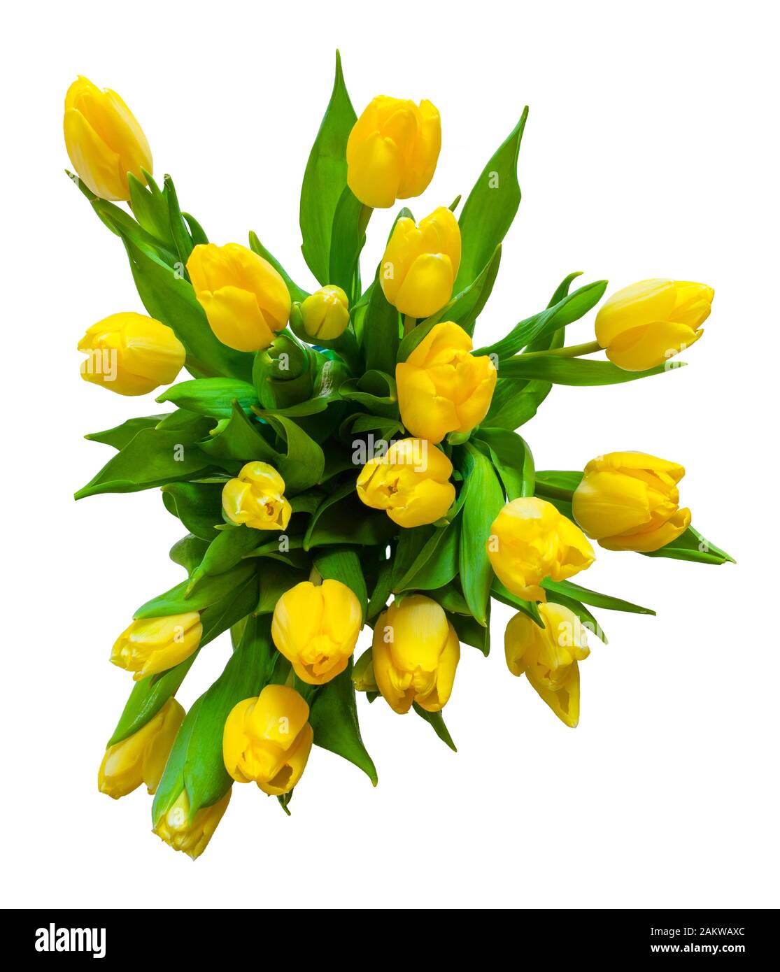Draufsicht auf den Blumenstrauß gelber Tulpen isoliert auf weißem Hintergrund Stockfoto