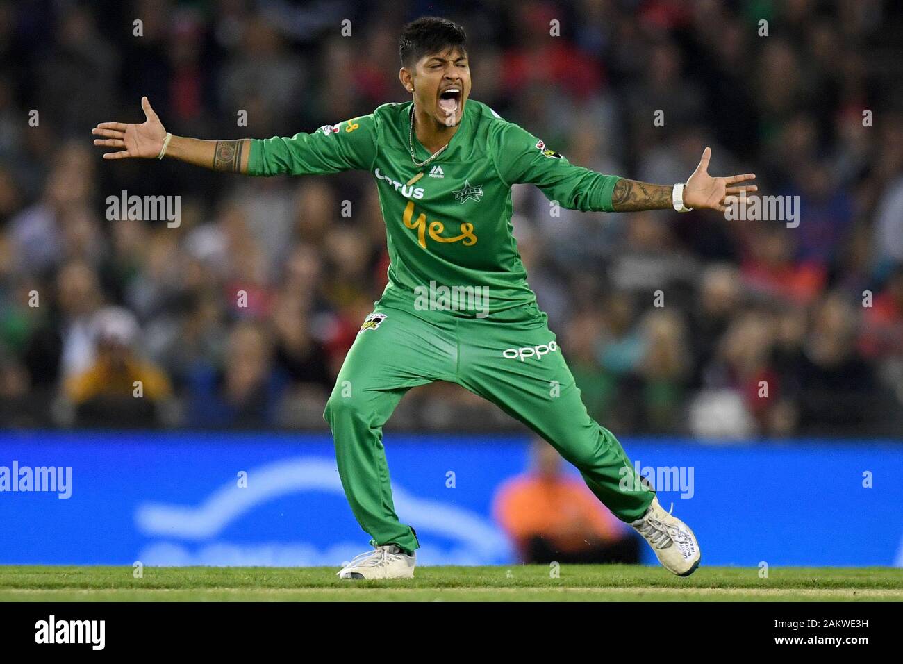 Marvel Stadion, Melbourne, Victoria, Australien. 10 Jan, 2020. Big Bash League Cricket, Melbourne Renegaten gegen Melbourne Sterne; Sandeep Lamichhane der Sterne Appelle für ein wicket - Redaktionelle Verwendung Credit: Aktion plus Sport/Alamy leben Nachrichten Stockfoto