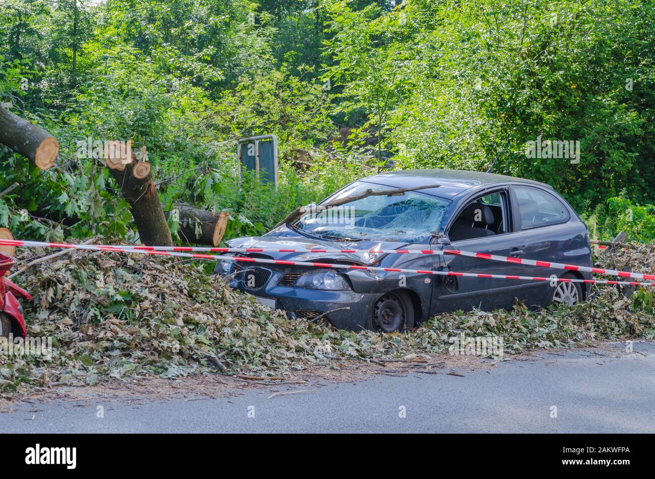 Hurricane Kyrill Stockfotos Hurricane Kyrill Bilder Alamy