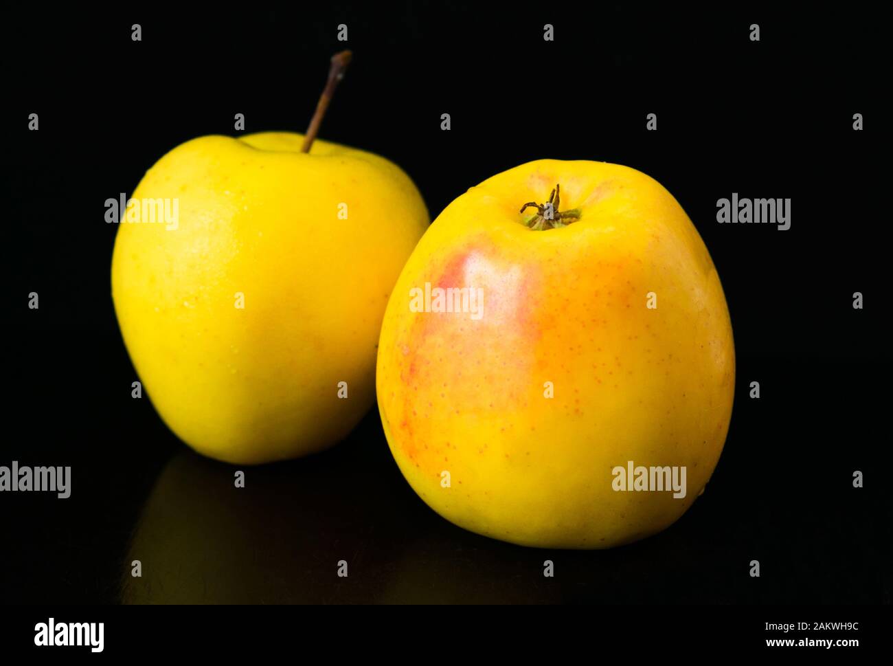 Zwei goldene Äpfel auf schwarzem Grund. Nahaufnahme. Stockfoto