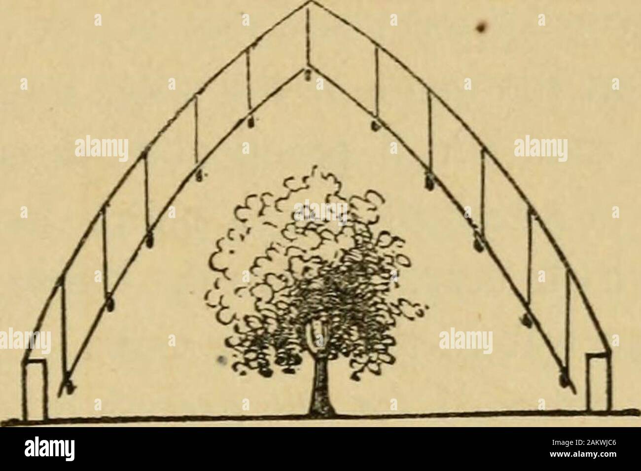 Eine praktische Abhandlung über den Bau, Heizung und Belüftung von Hot-Häuser;: einschließlich Wintergärten, Grün - Häuser, graperies und andere Arten von Gartenbau Strukturen... . Abb. 31.. und leichter als Holz. Kabel ist in jeder Hinsicht fitter für tnepurpose als Holz, vor allem für die Dach aufbinden -. Die distanceat, die die Drähte auseinander gesetzt werden sollte, hängt von thekind der Bäume zu Ihnen ausgebildet werden. Für die Trauben, die distanceshould 12 oder 14 Zoll und für Pfirsiche, Nektarinen, andsmall bewaldete Bäume, nicht mehr als 8 Zoll. Die Entfernung der Drähte des Daches Rankgitter aus dem Glas shou Stockfoto