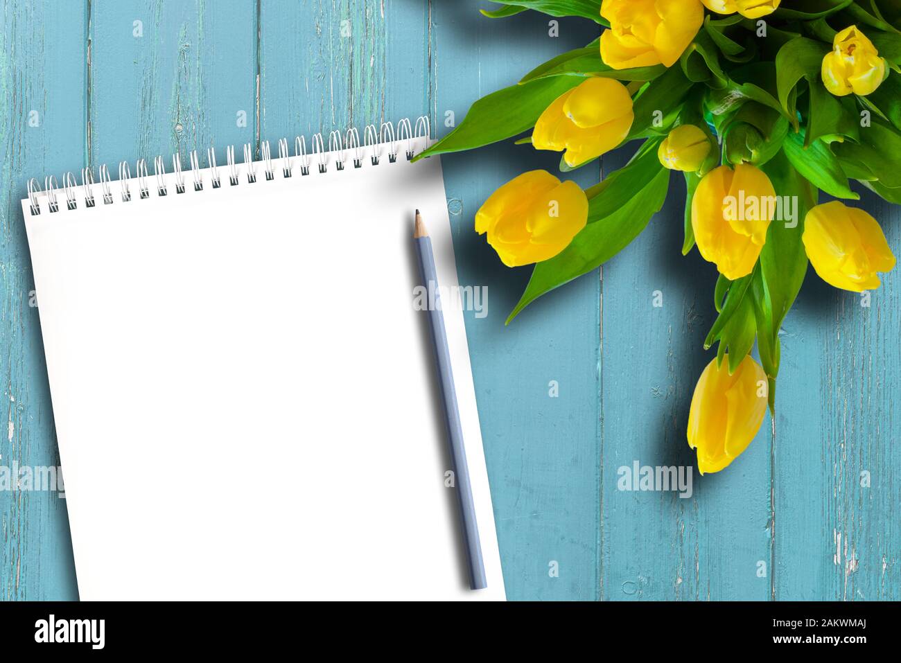 Draufsicht auf leerer Spiralnotizblock, Bleistift und Blumenstrauß gelber Tulpen auf rustikaler blauer Holztischvorlage Stockfoto