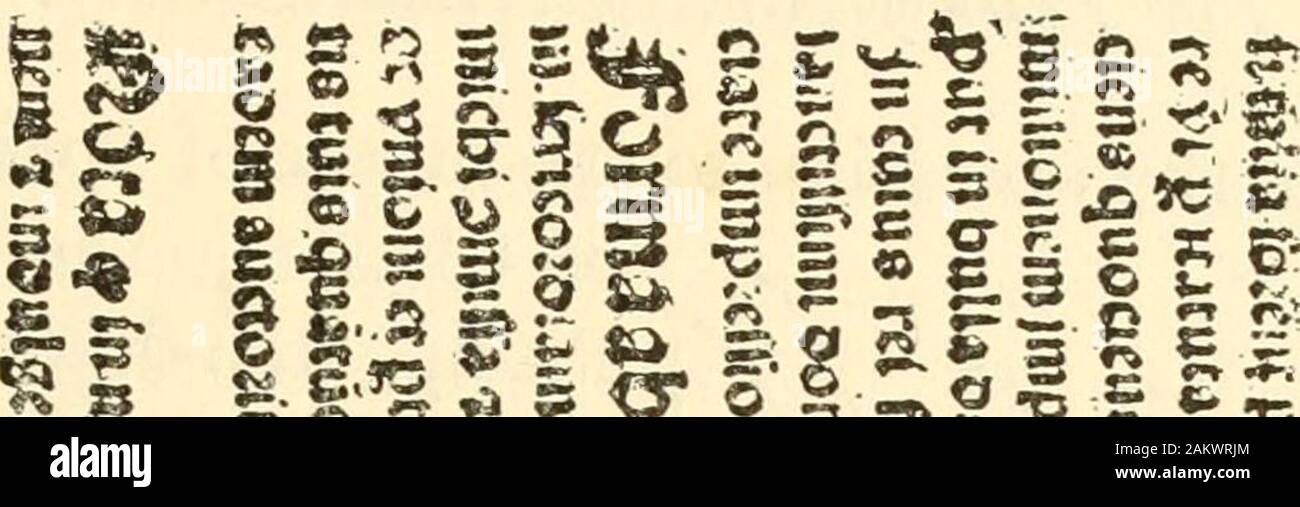 Das Vaterland: (1450-1700): Zeigt den Teil, das in der Entdeckung, Erforschung und Entwicklung der westlichen Kontinent mit besonderem Bezug auf die Commonwealth von Pennsylvania Bohrung; ptIof eine Erzählung und kritische Geschichte, an der reque vorbereitet. HARTIN LUTHER. (BORM NOU. 10. IW 3. Starb FES. 18. 15* 6.) FROn rniNTINQ durch LUCnS CRANACH in der riMRKOTHEK IN MÜNCHEN.. ** G S^^"? ZL uiJ S S 1 m w Stockfoto